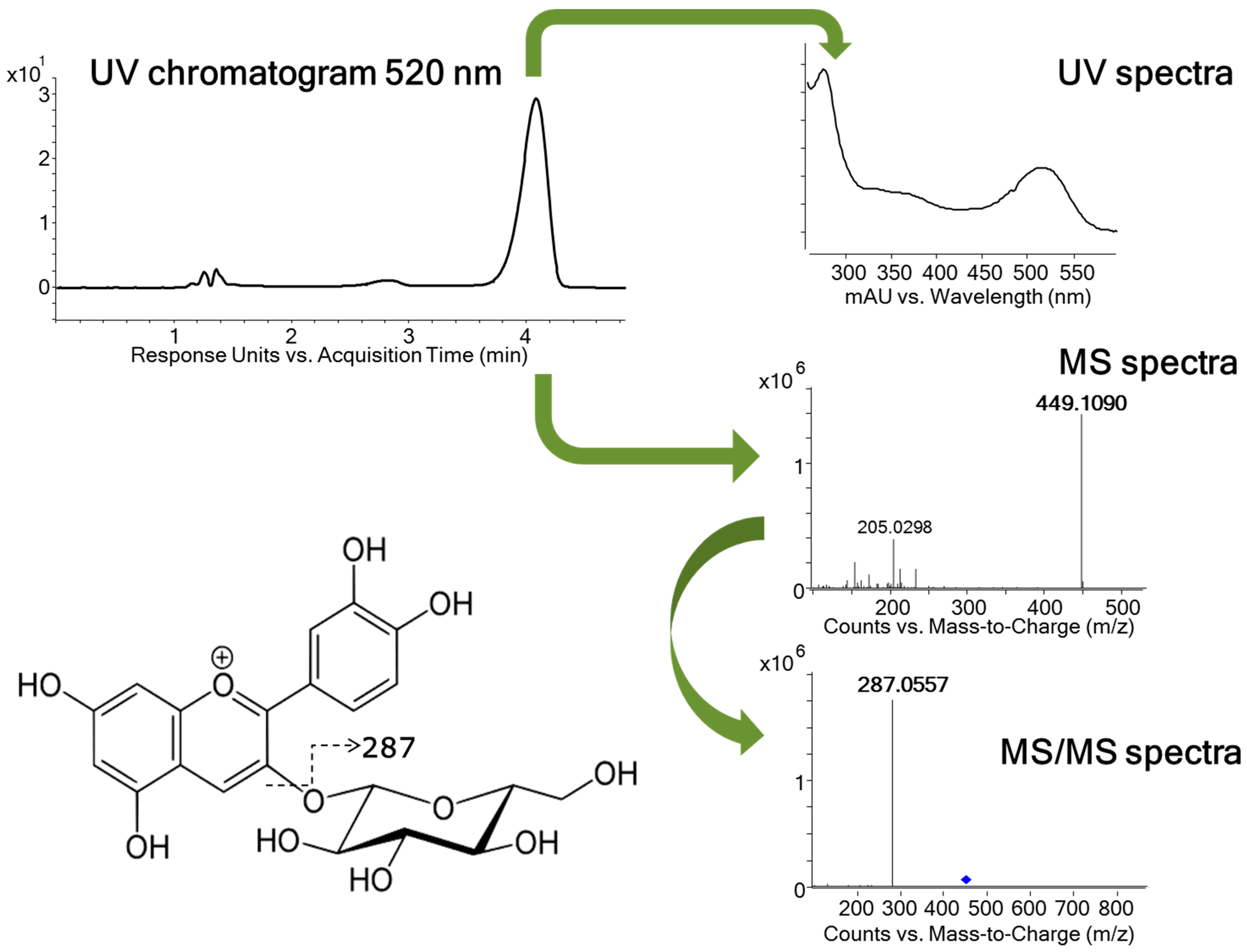Ijms 17 00699 g001 1024