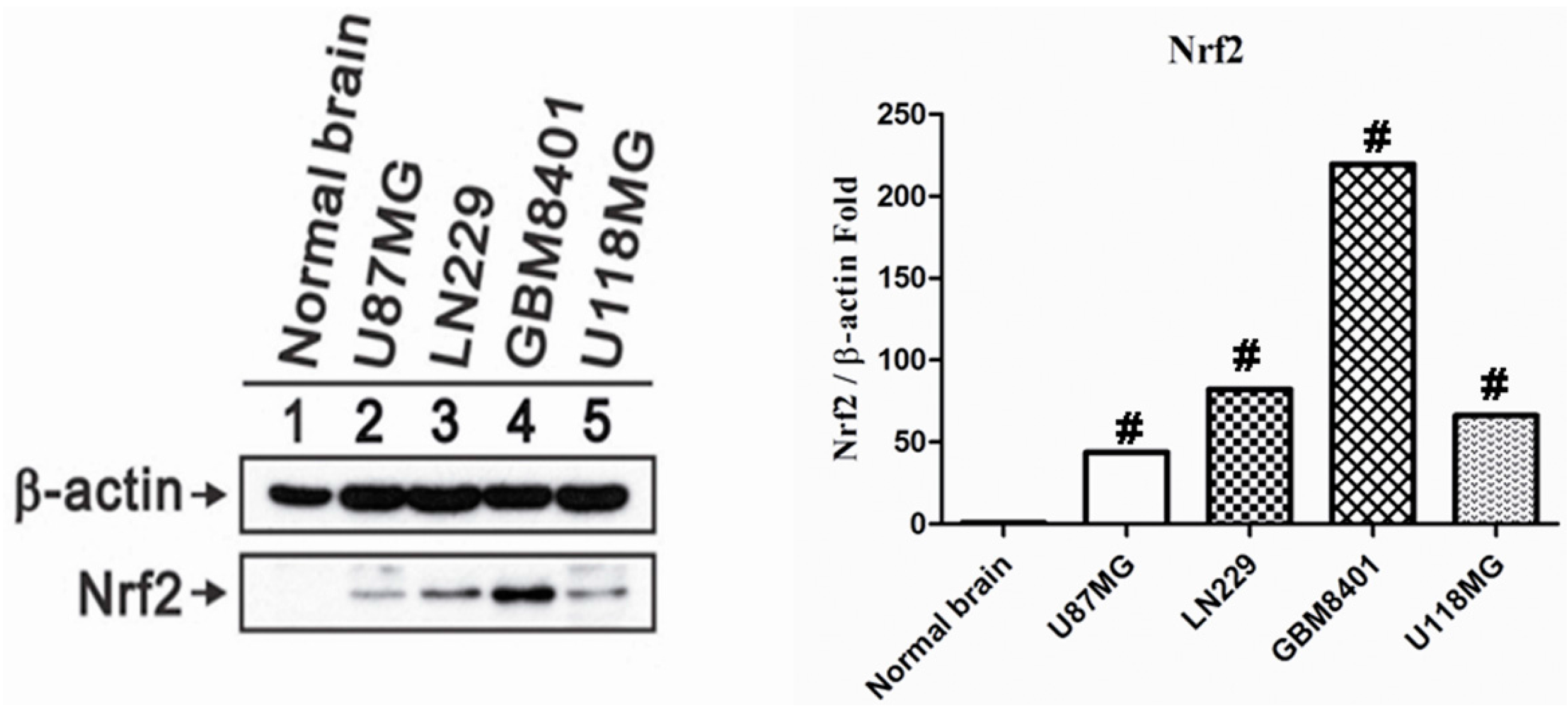 Ijms 17 00722 g001 1024
