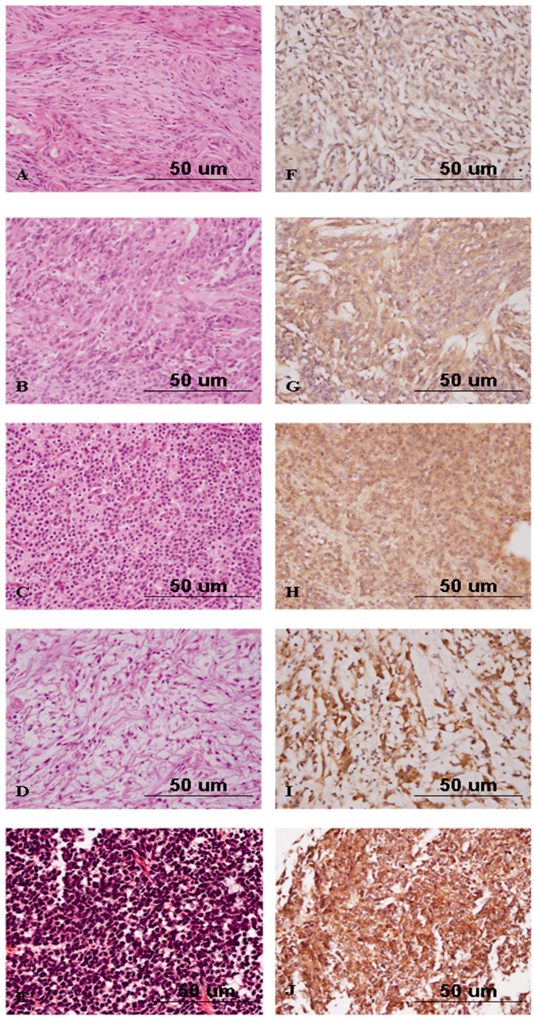 Ijms 17 00722 g006 1024