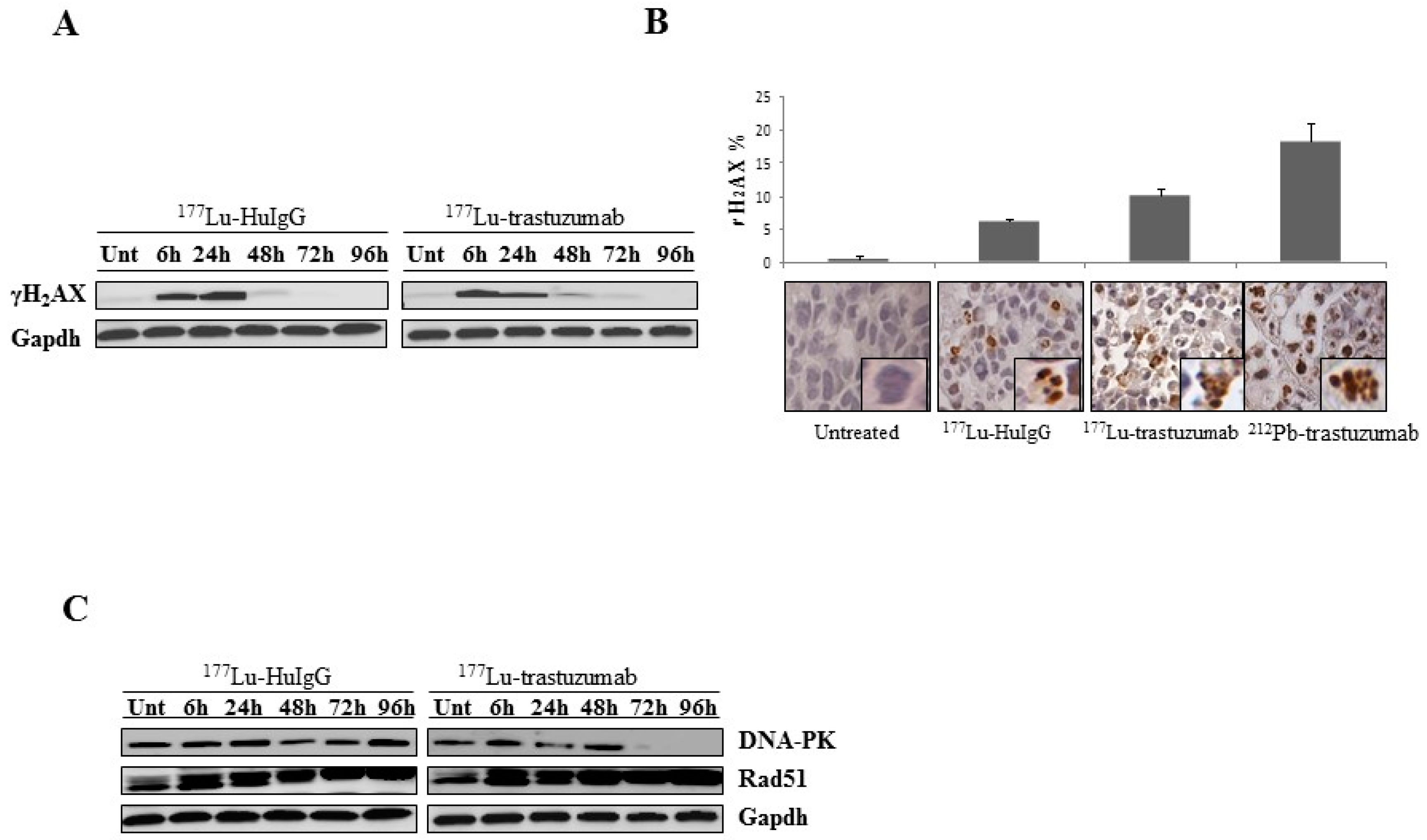 Ijms 17 00736 g002 1024