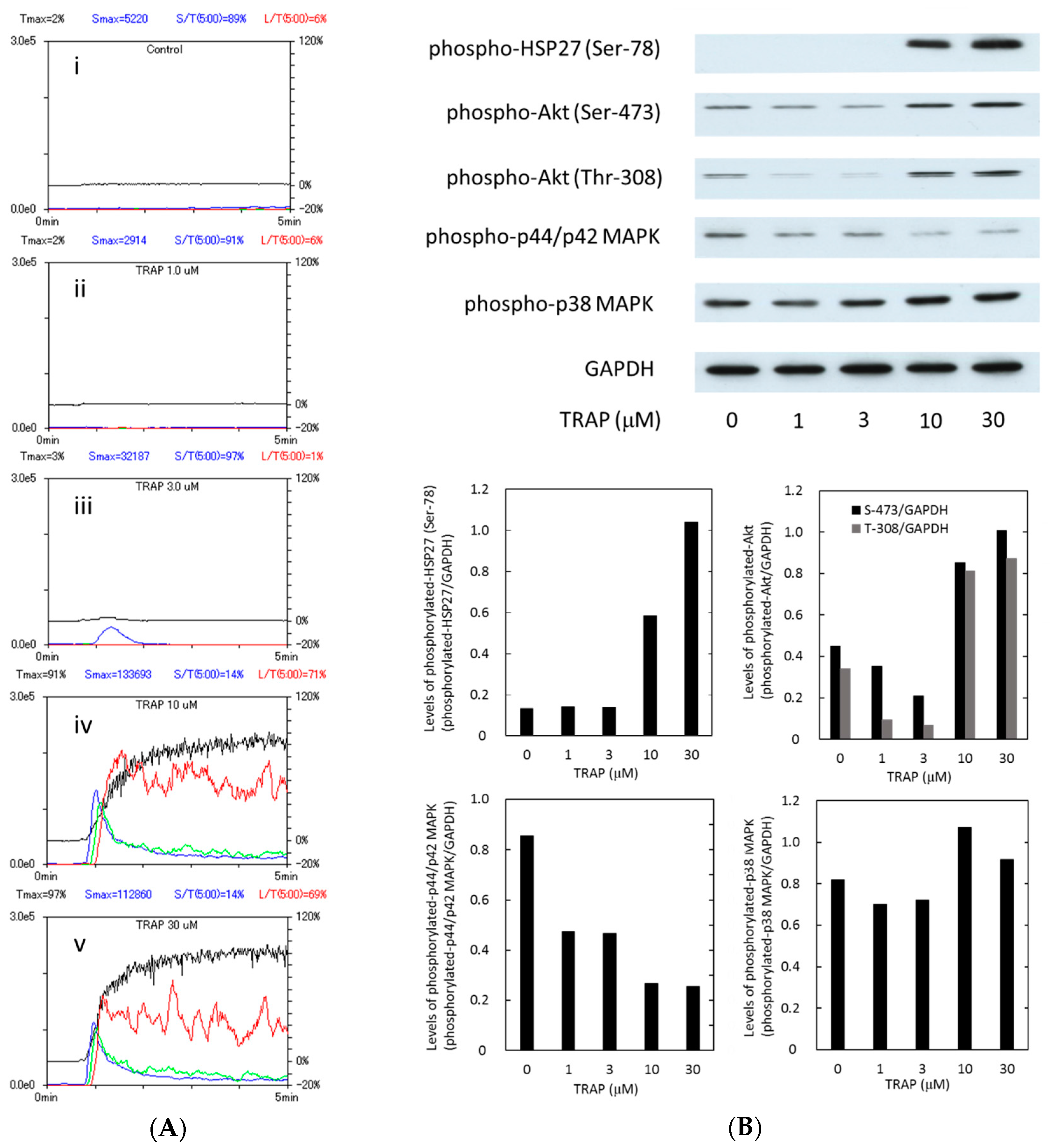 Ijms 17 00737 g001 1024