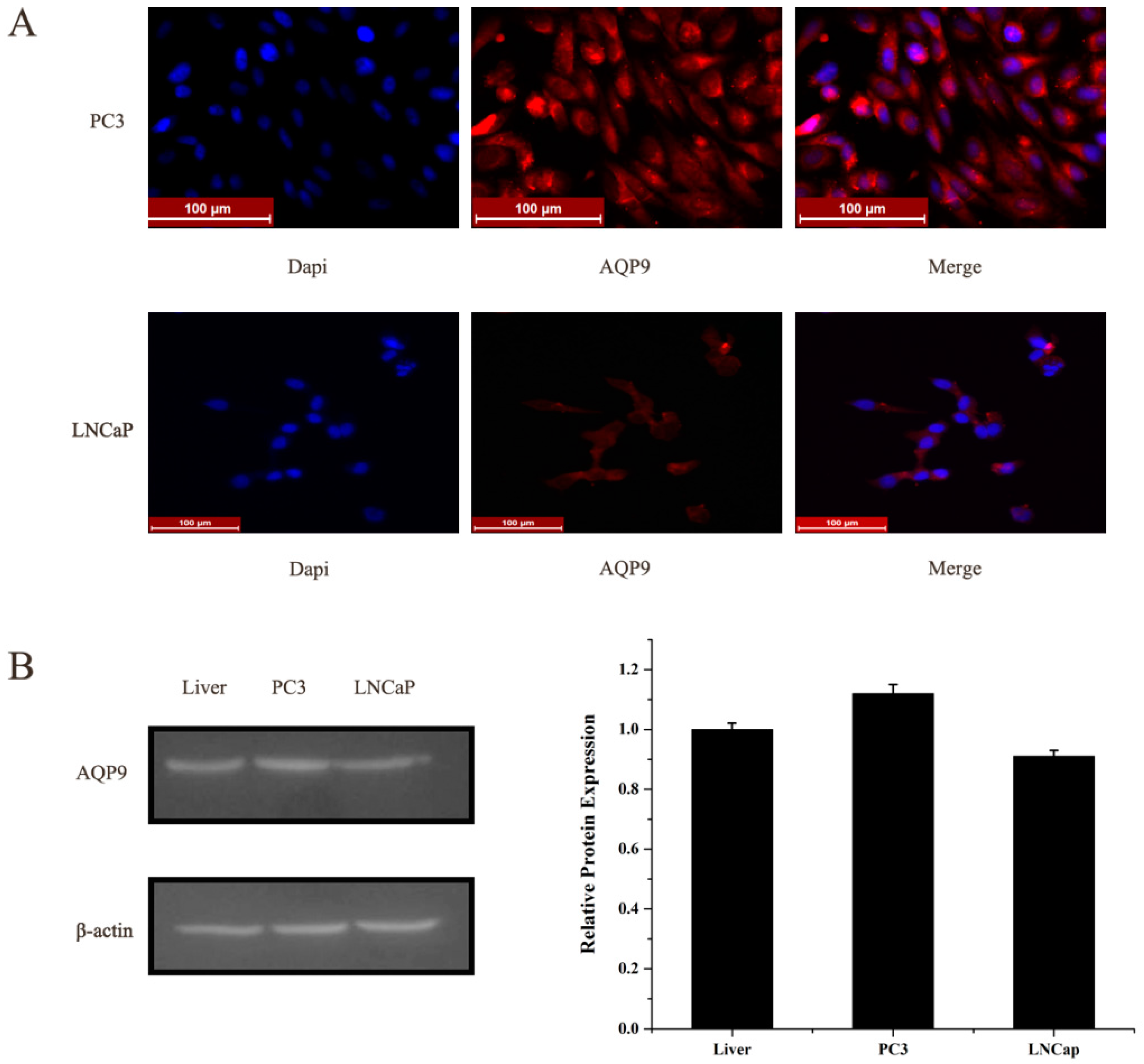 Ijms 17 00738 g001 1024