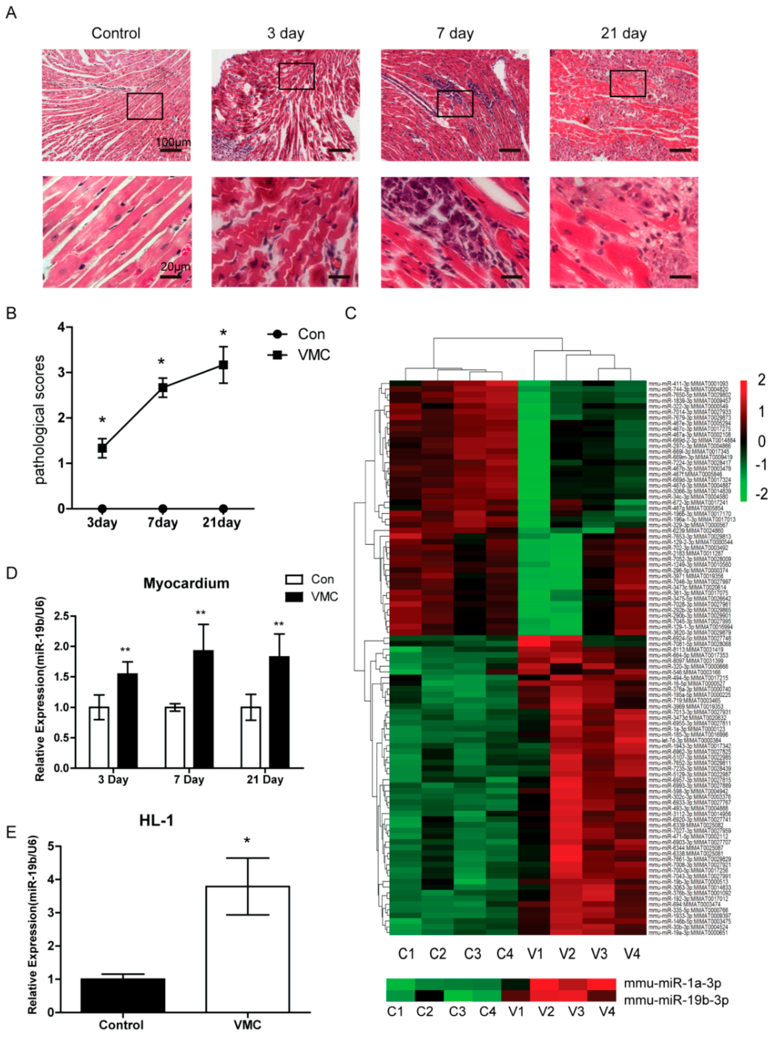 Ijms 17 00741 g001 1024