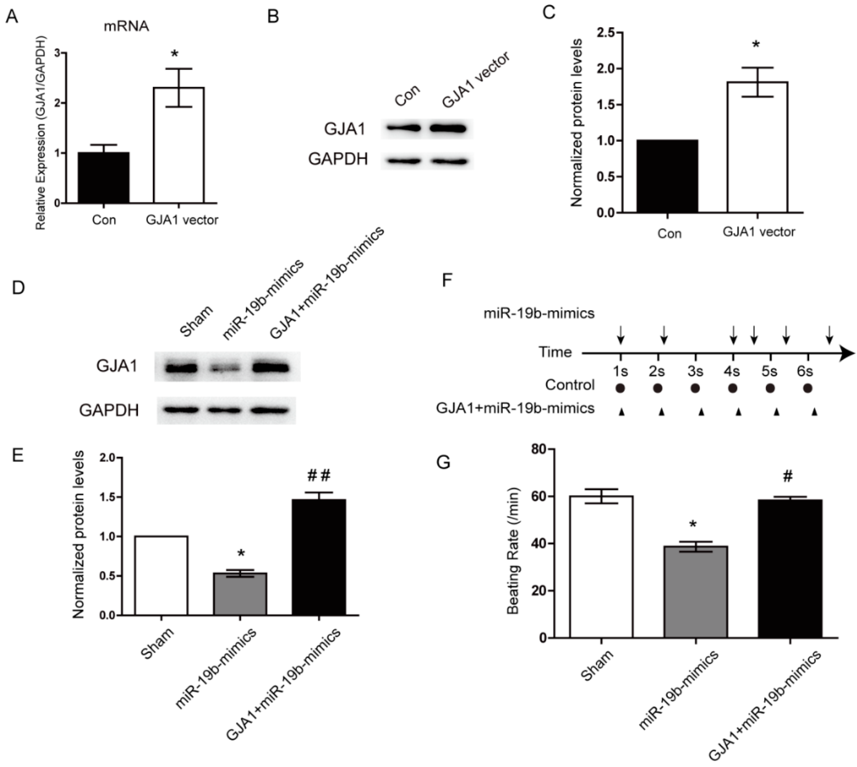 Ijms 17 00741 g004 1024