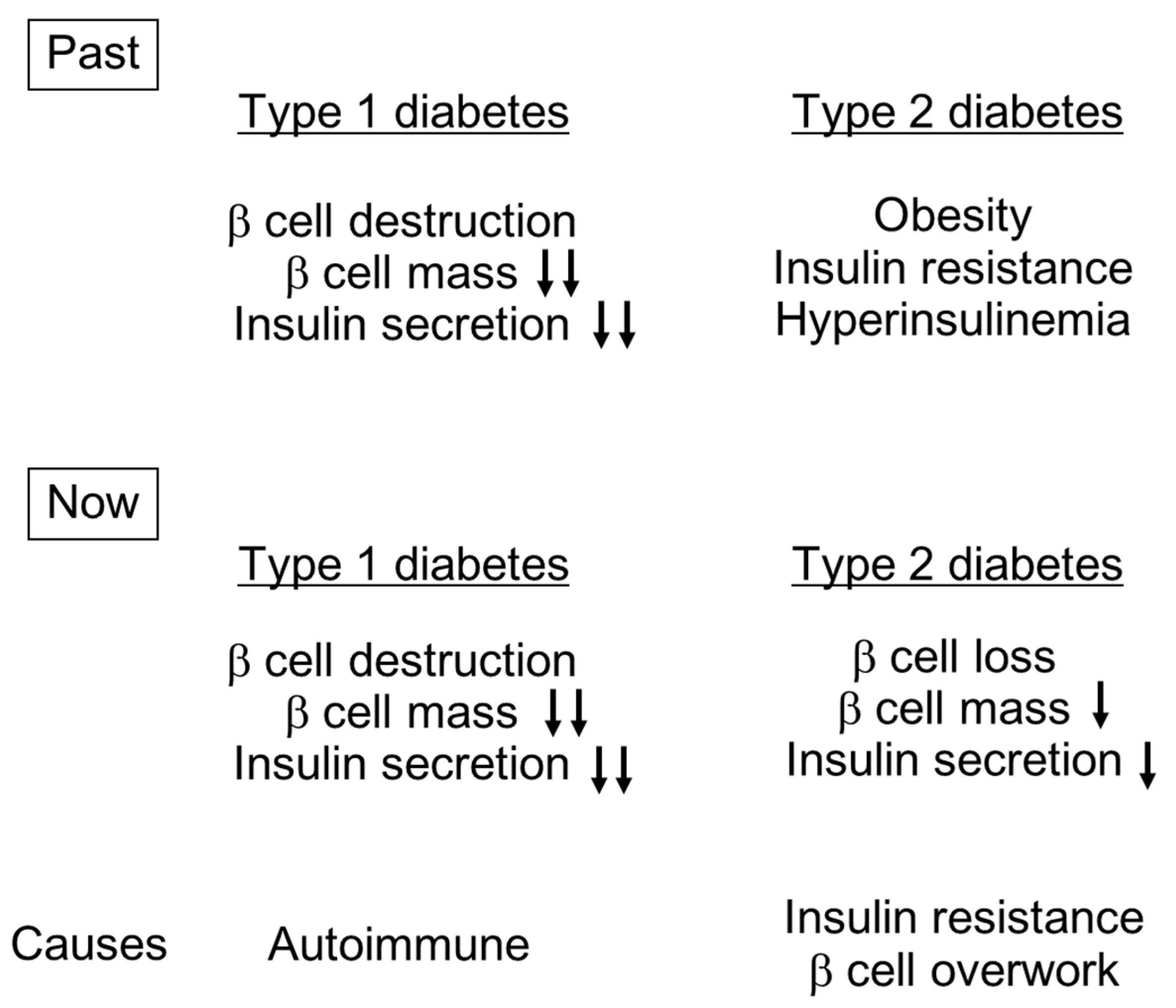 a diabetes peptid