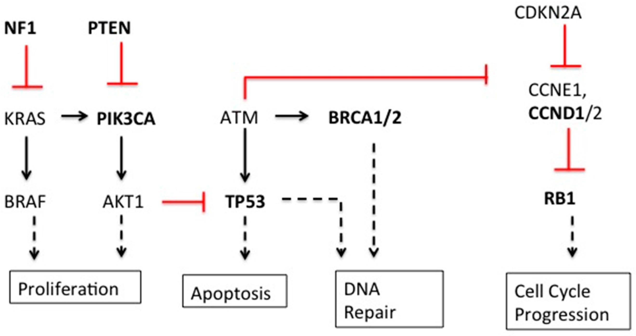Ijms 17 00759 g001