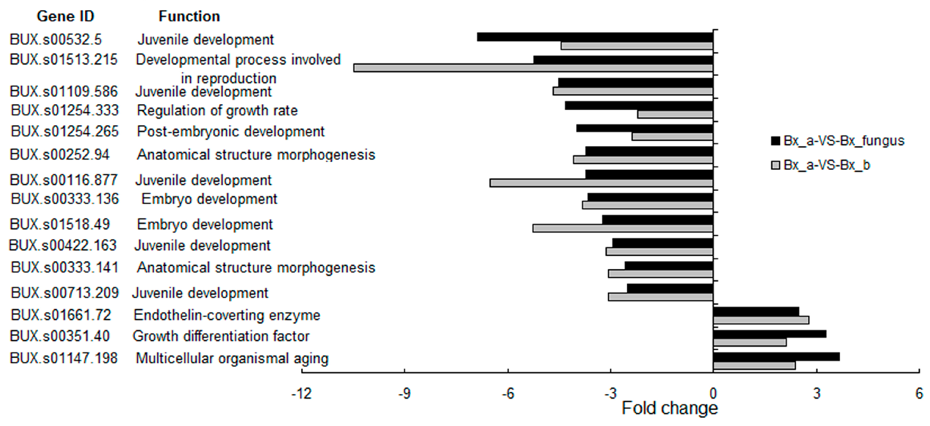Ijms 17 00778 g004 1024