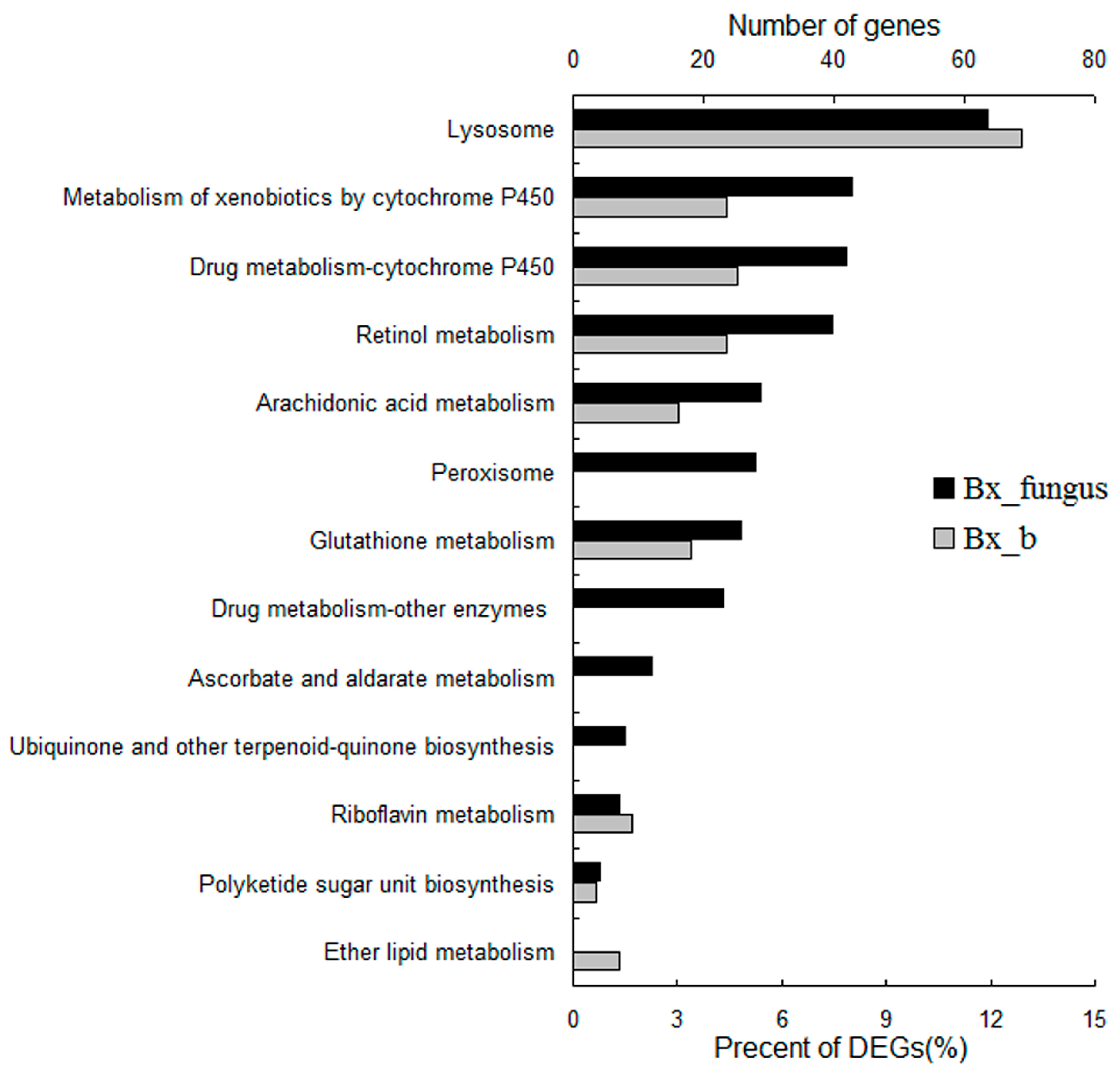 Ijms 17 00778 g005 1024