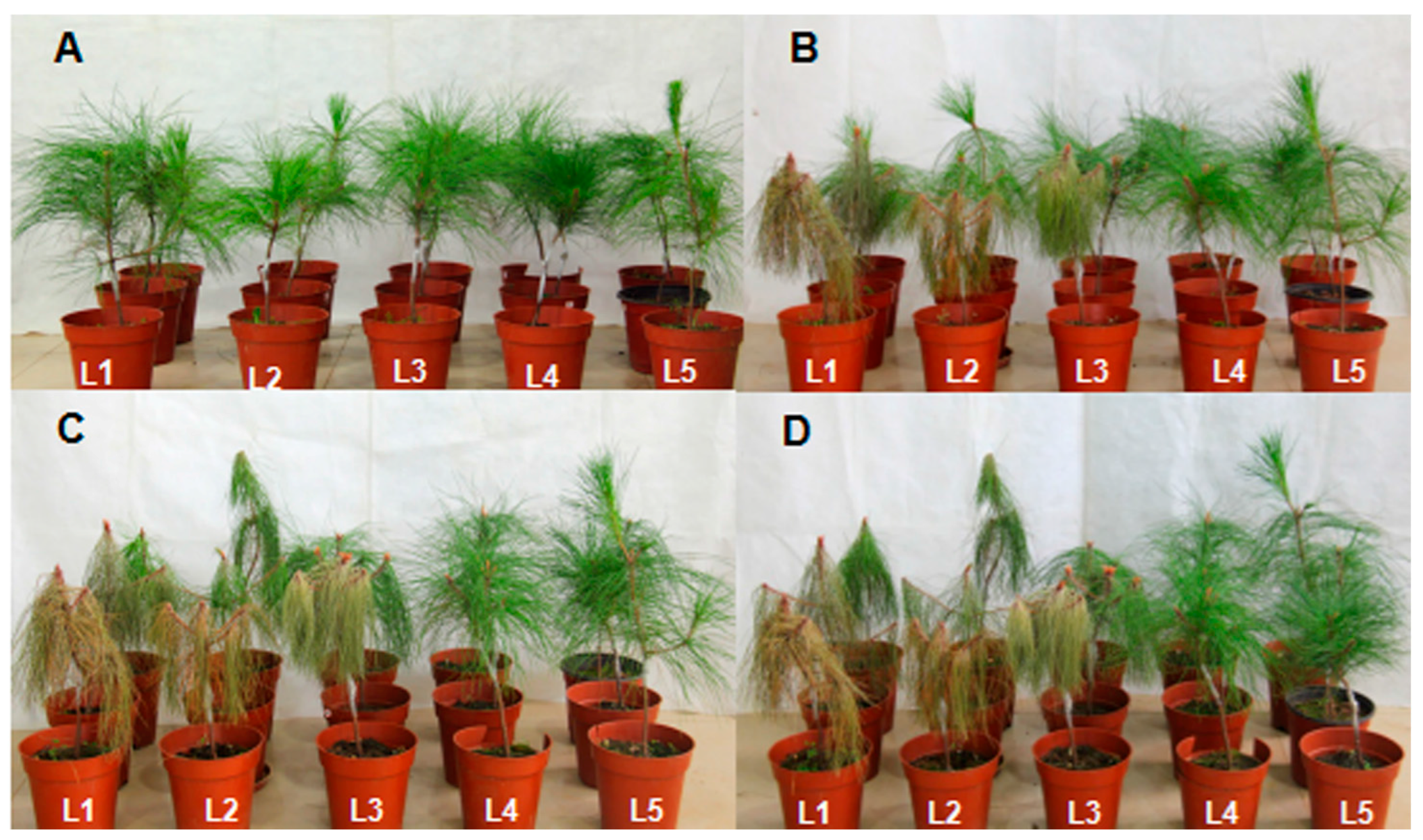 Ijms 17 00778 g007 1024