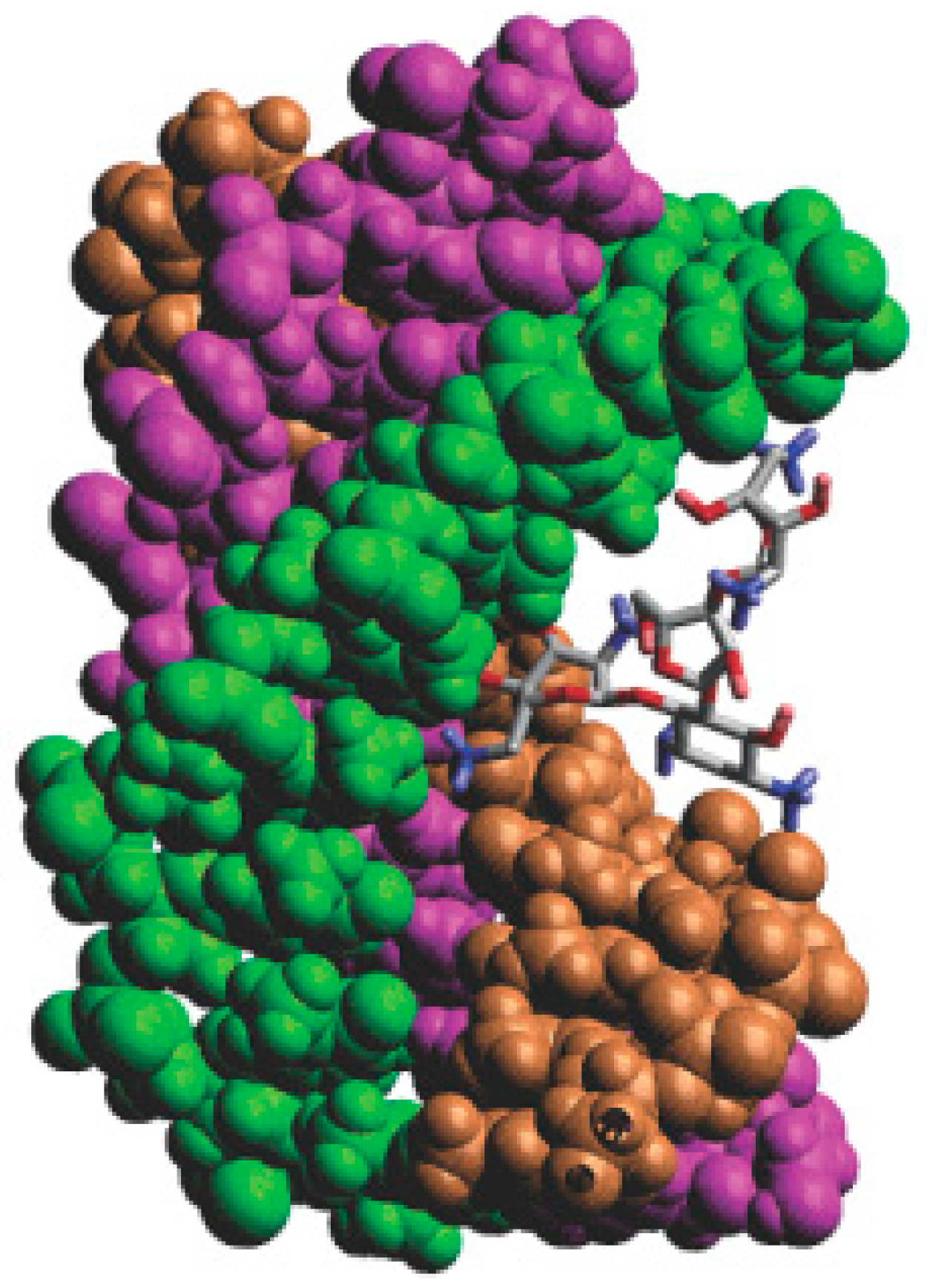 Ijms 17 00779 g016 1024