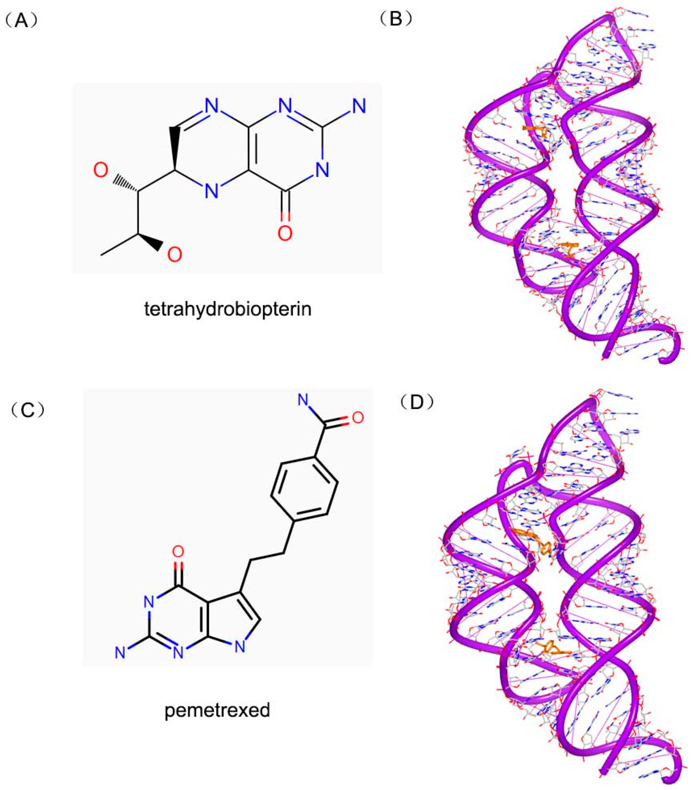 Ijms 17 00779 g023 1024