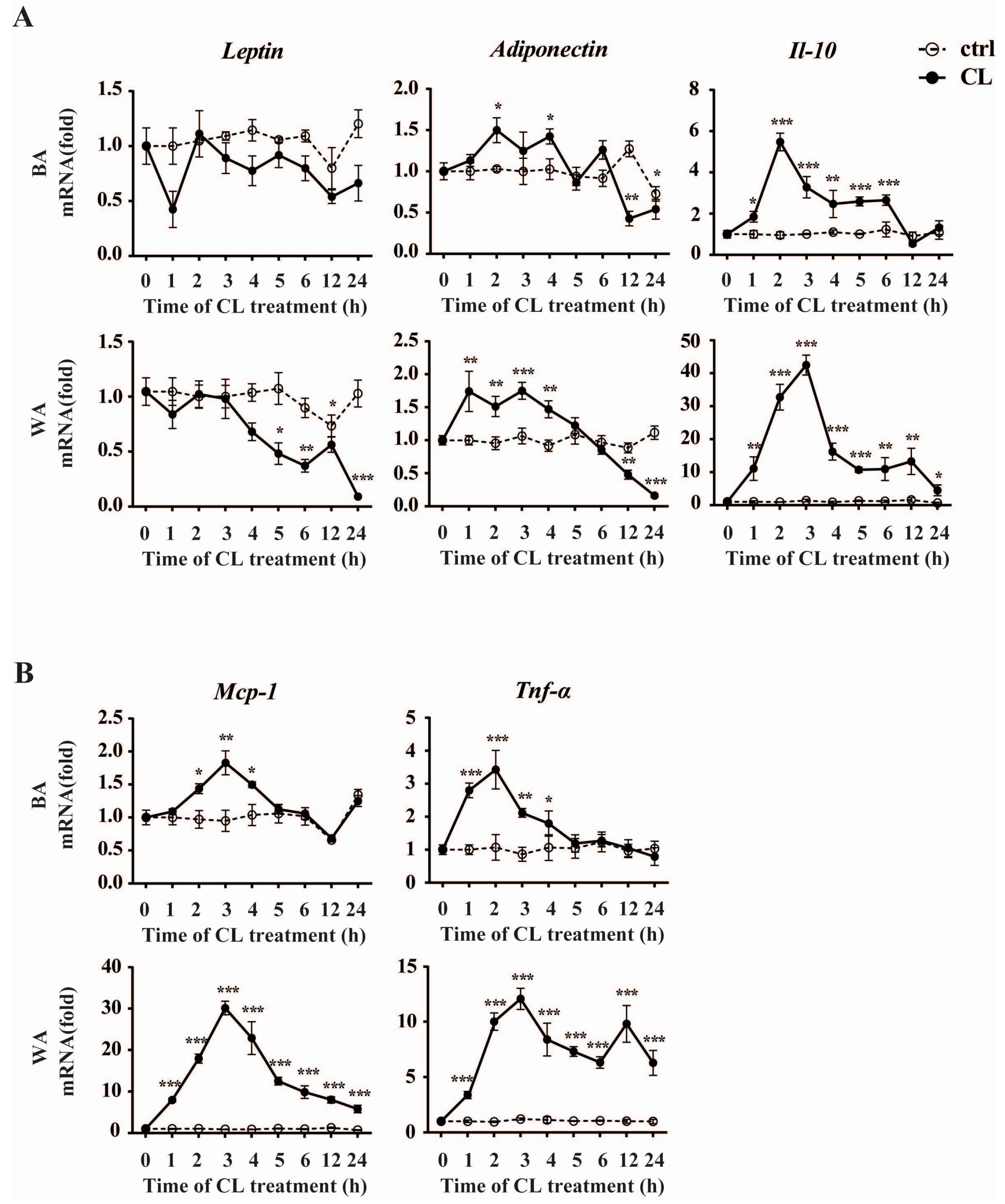 Ijms 17 00795 g005 1024