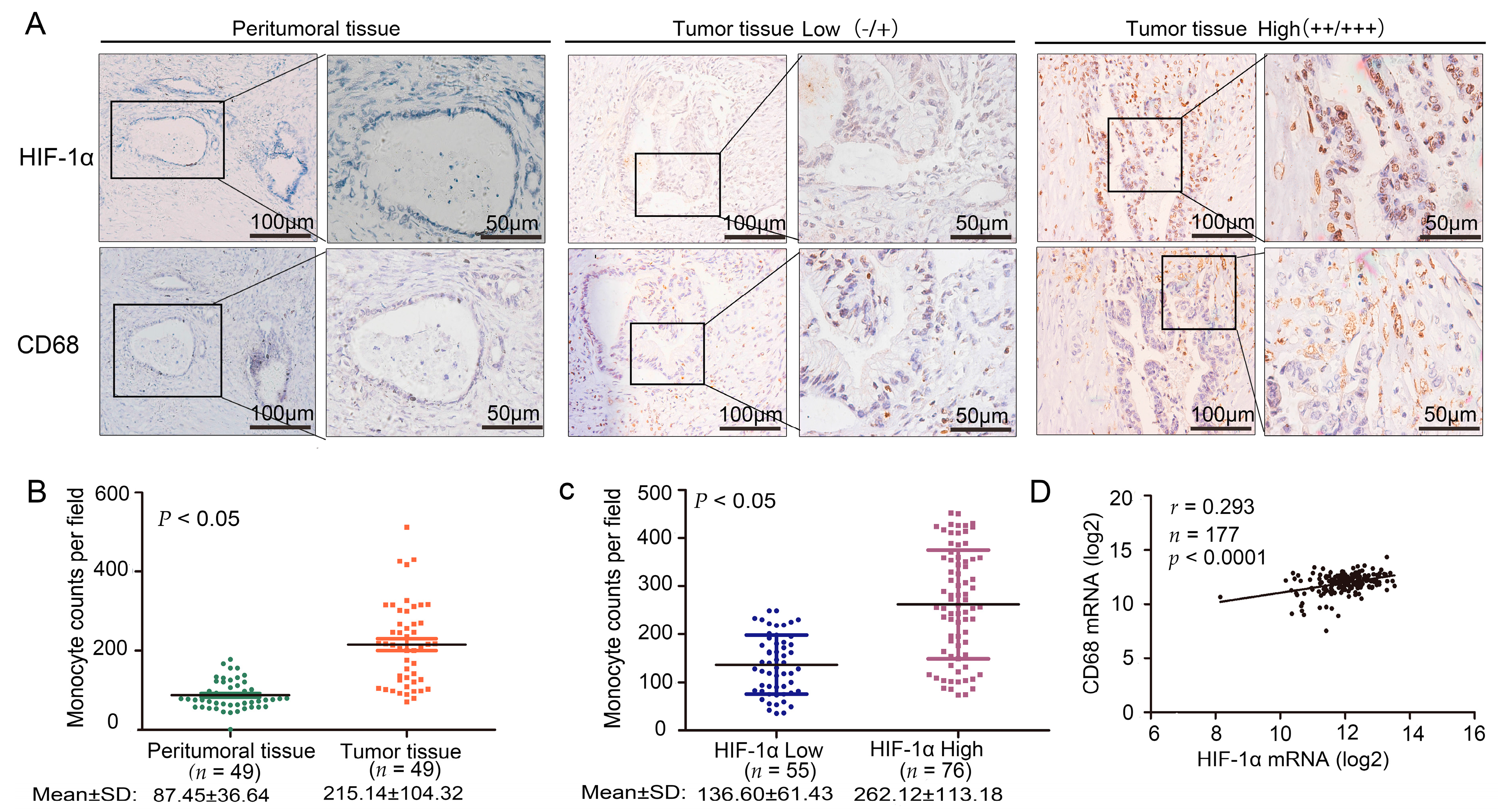 Ijms 17 00799 g001 1024