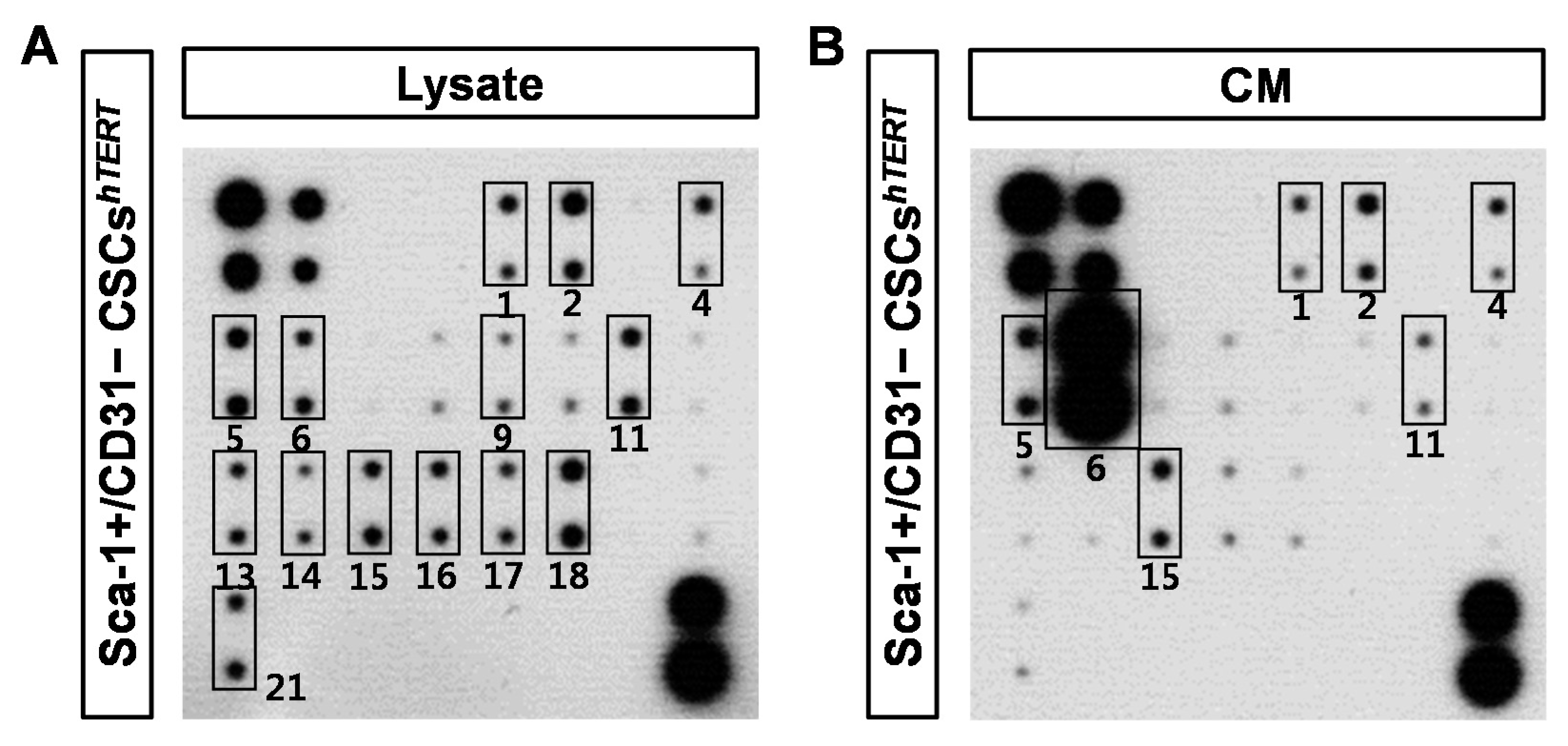 Ijms 17 00800 g004a