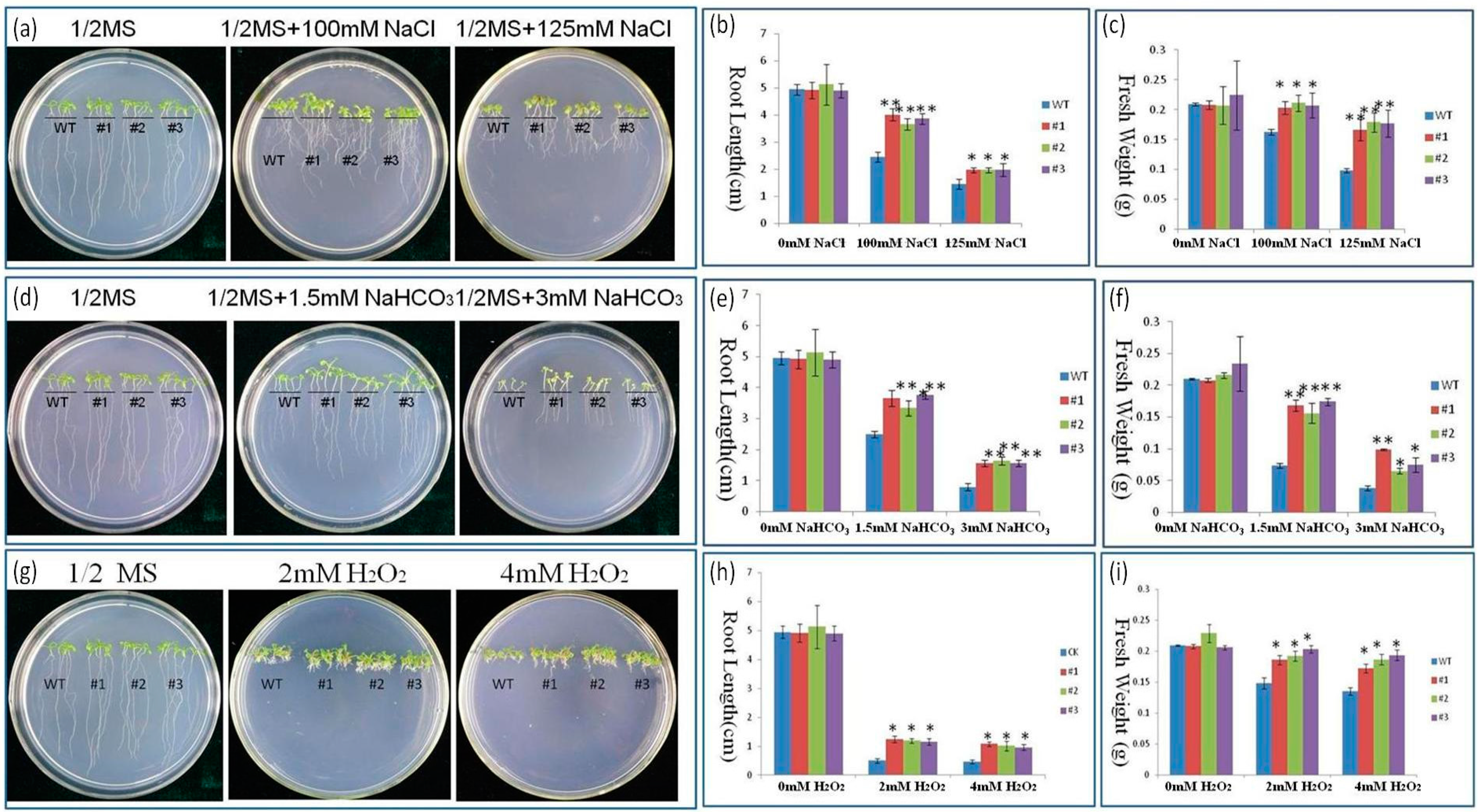 Ijms 17 00804 g005 1024