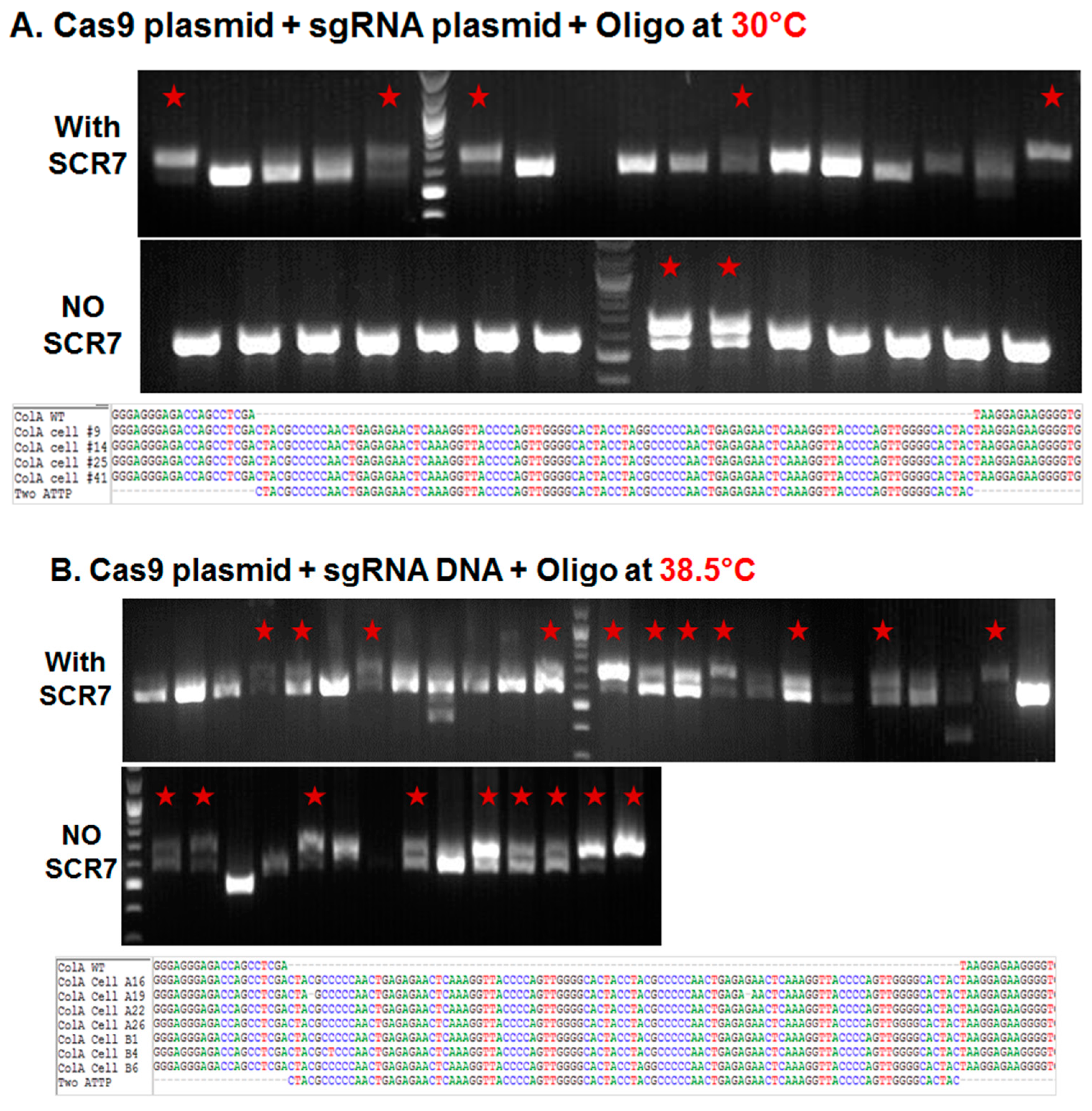 Ijms 17 00810 g001a