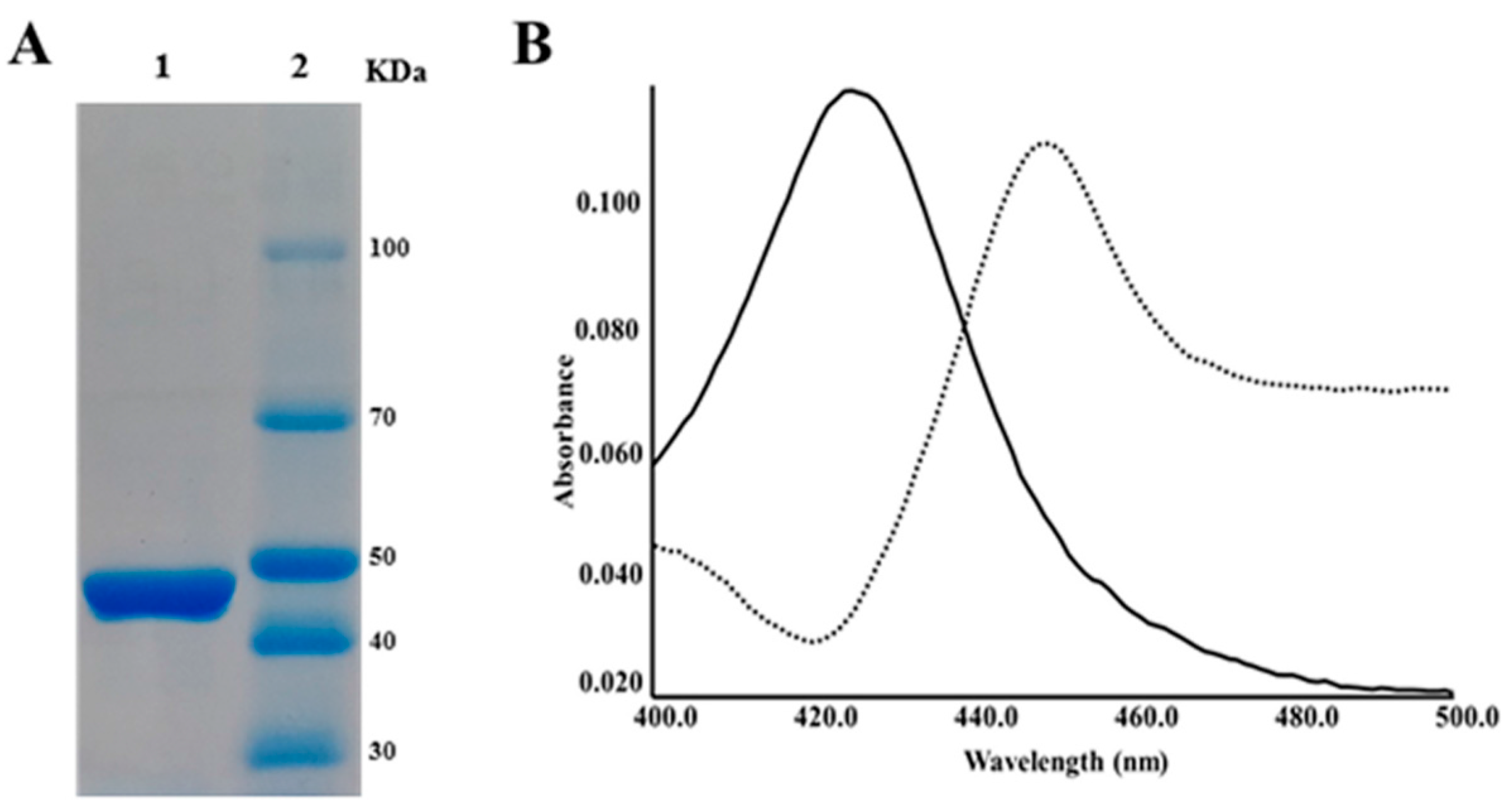 Ijms 17 00813 g001 1024