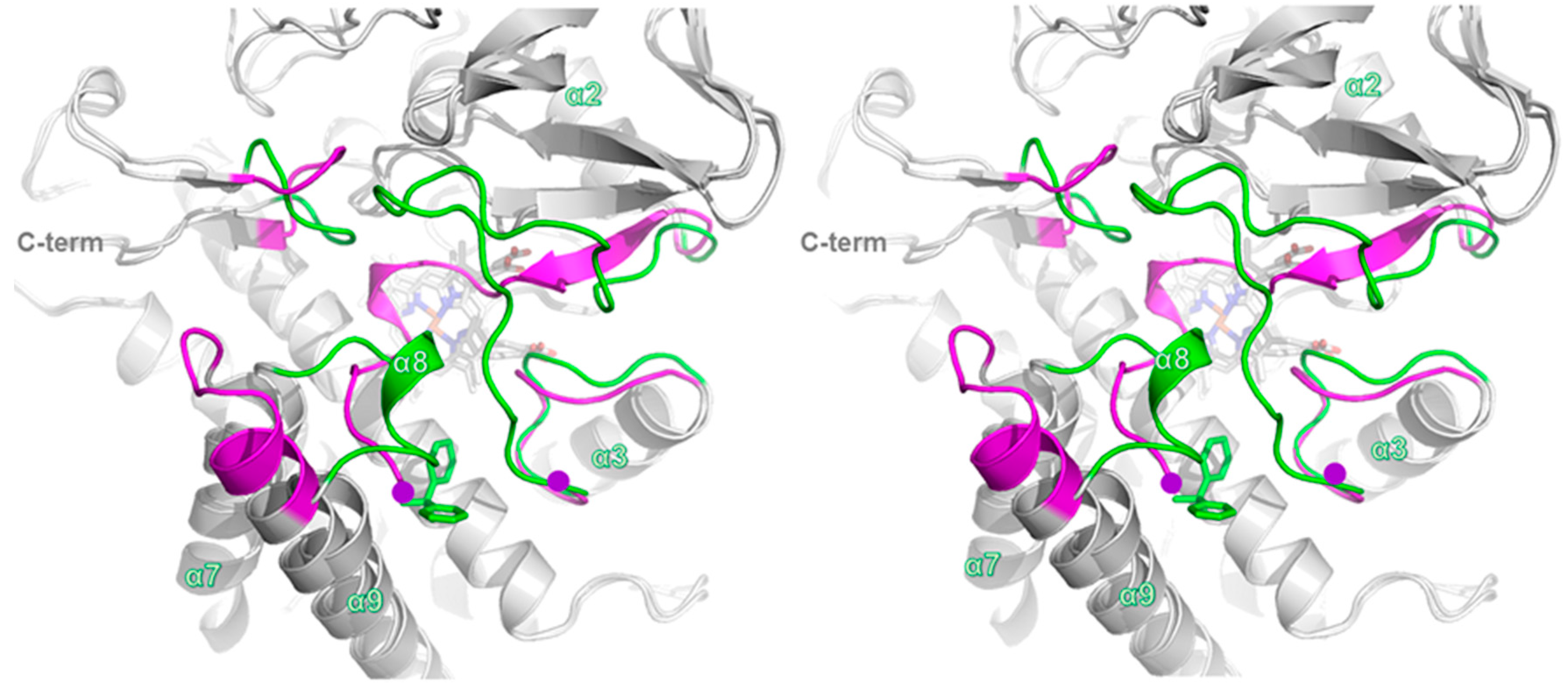 Ijms 17 00813 g003 1024