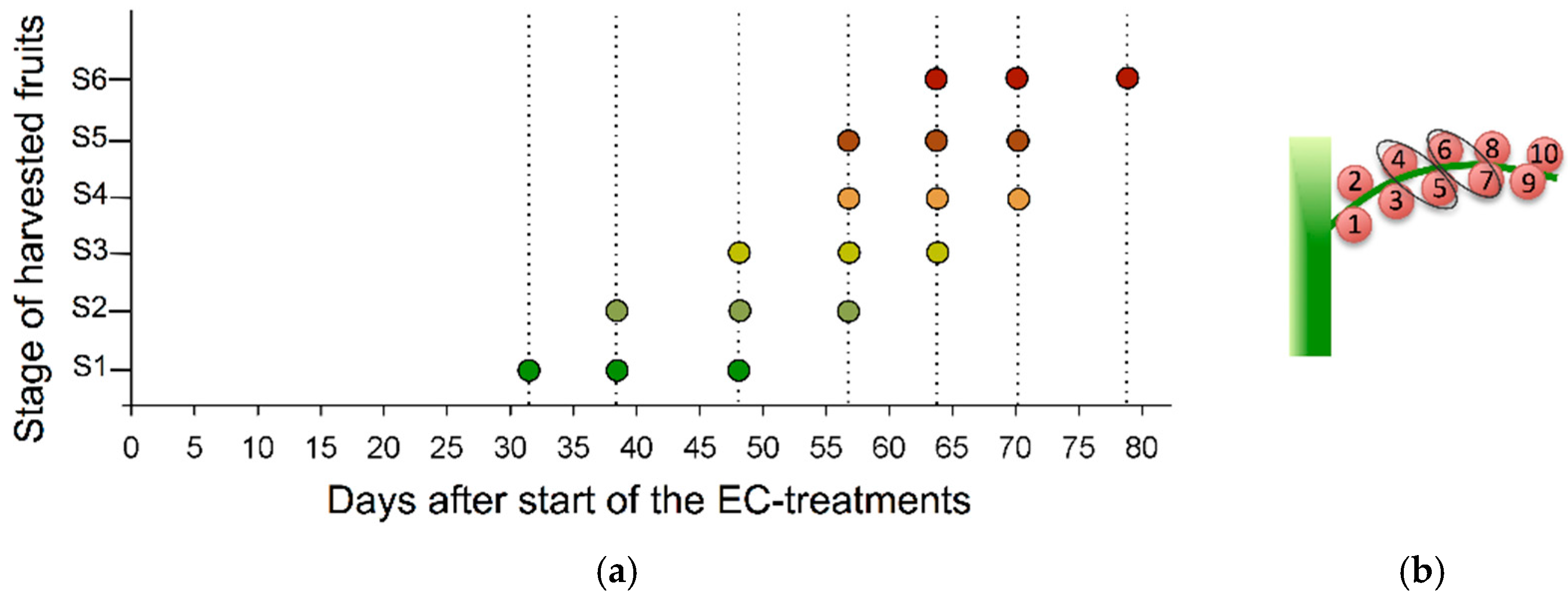 Ijms 17 00821 g006 1024