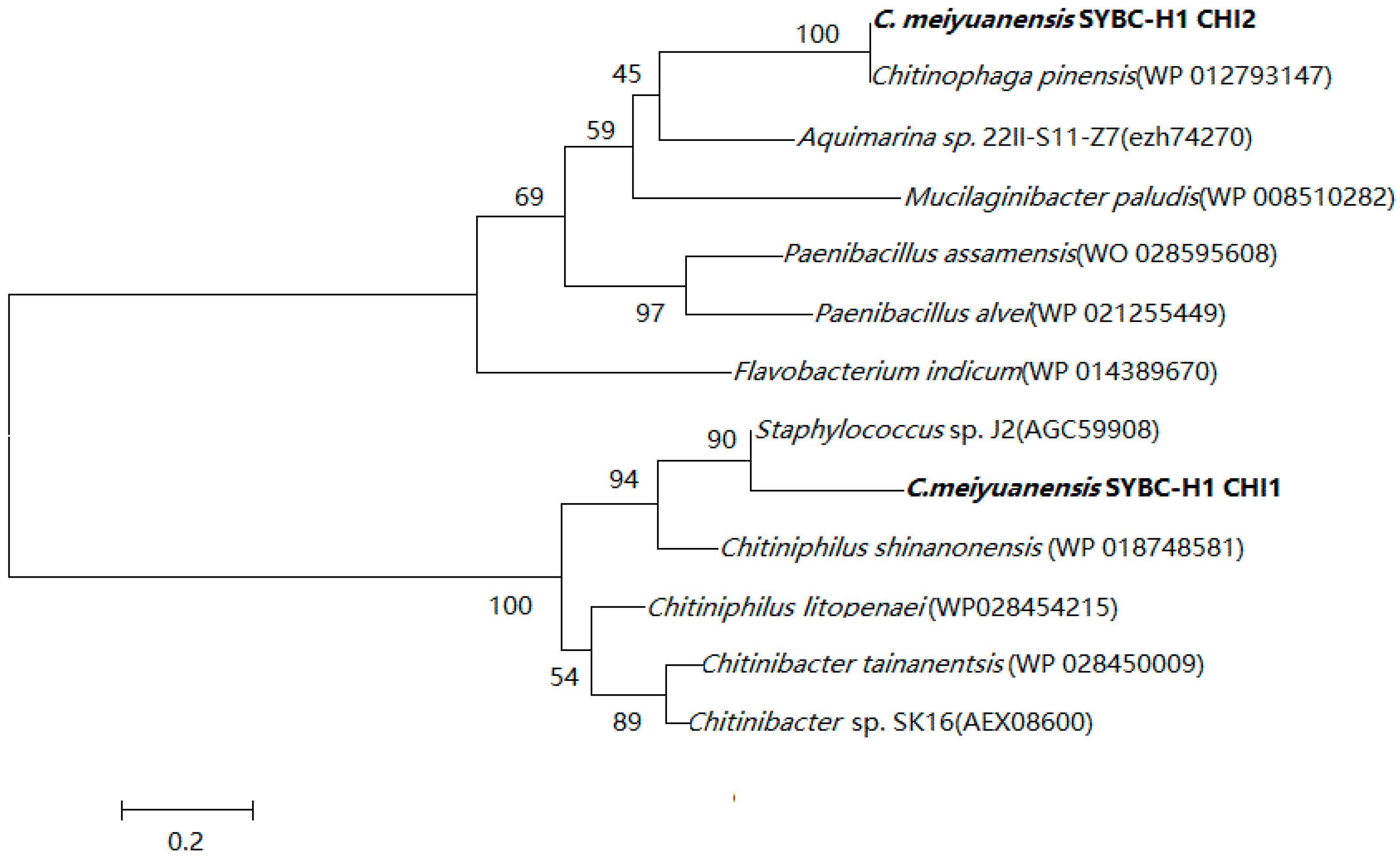 Ijms 17 00825 g001 1024