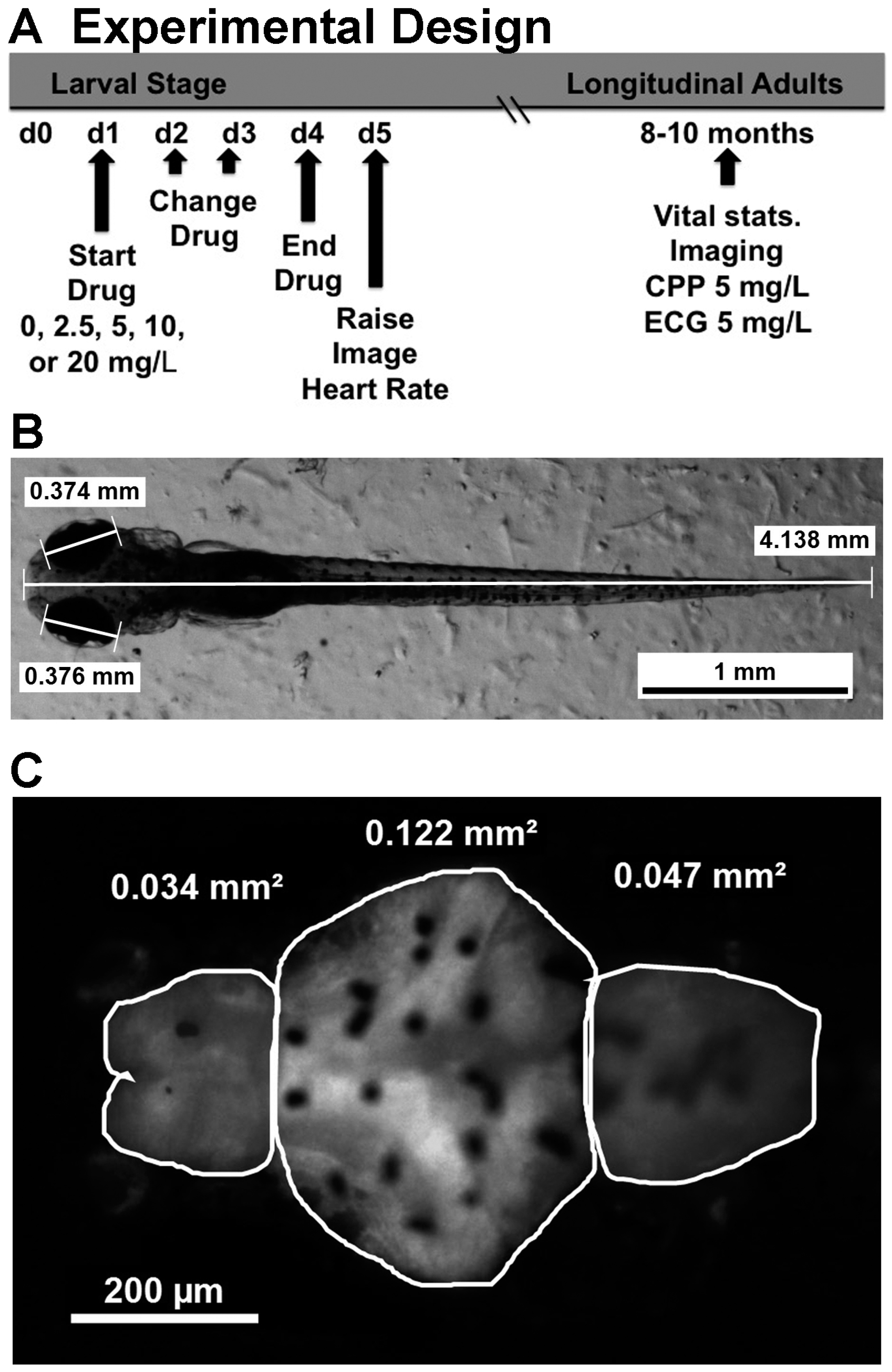 Ijms 17 00847 g001 1024