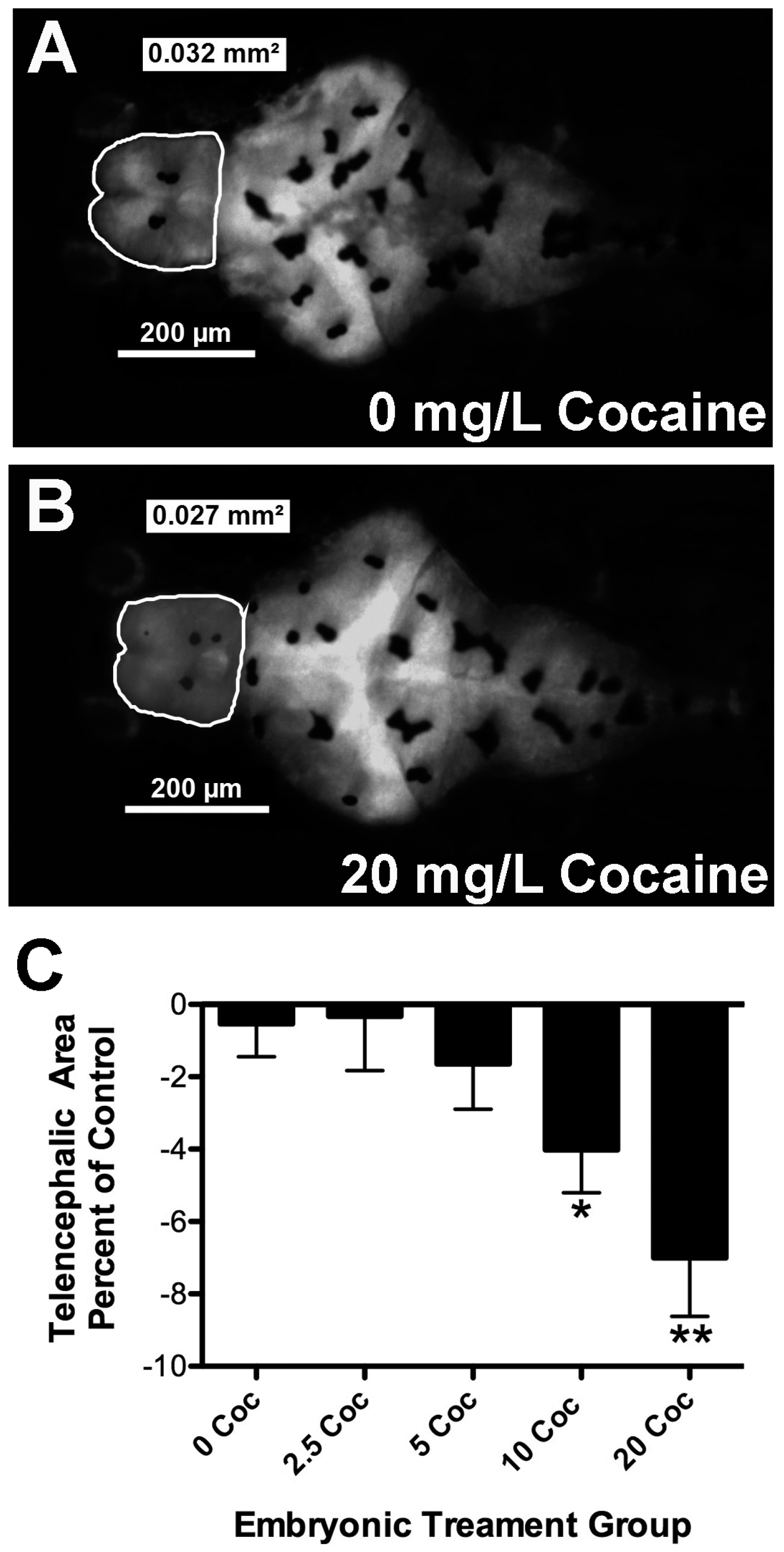 Ijms 17 00847 g002 1024