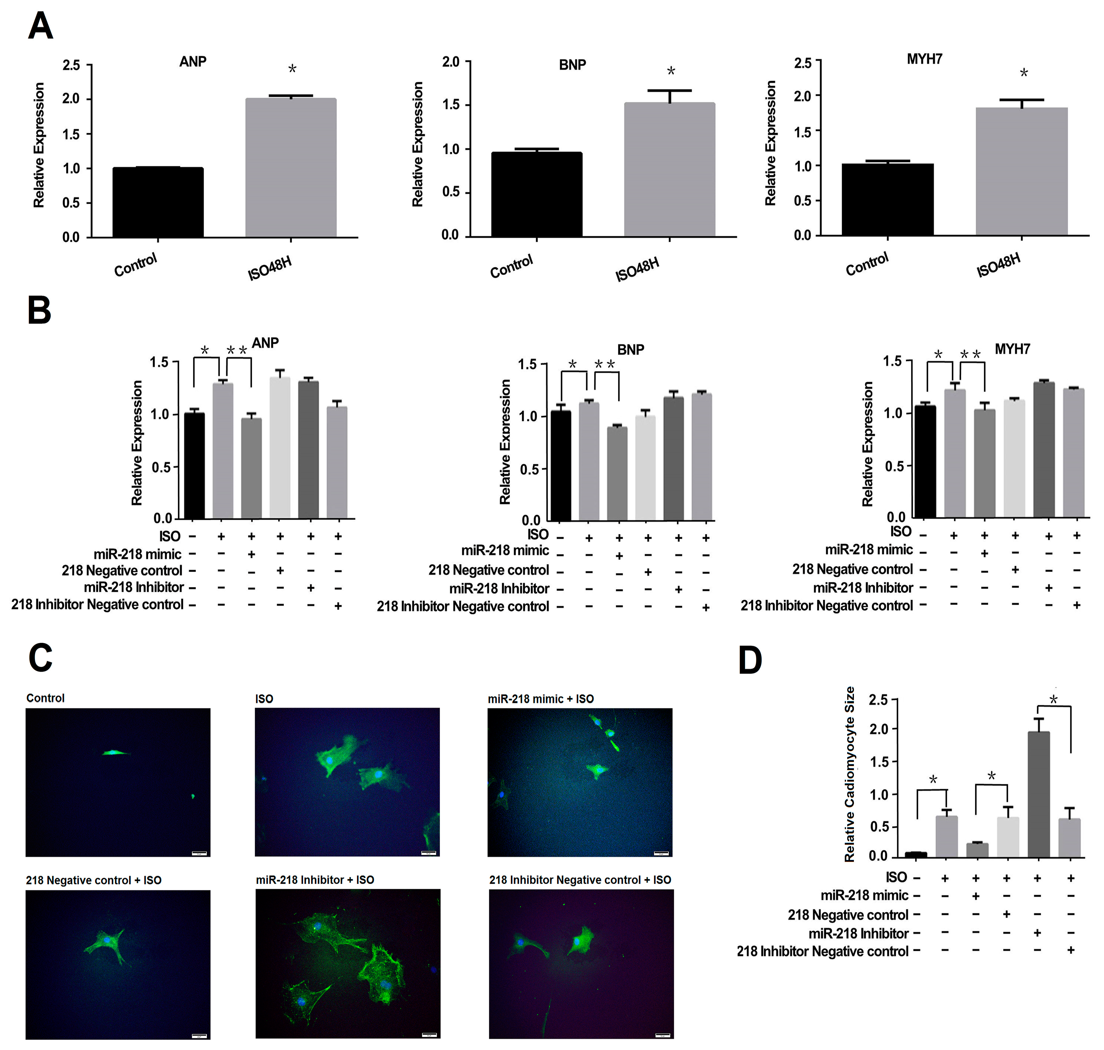 Ijms 17 00848 g001 1024