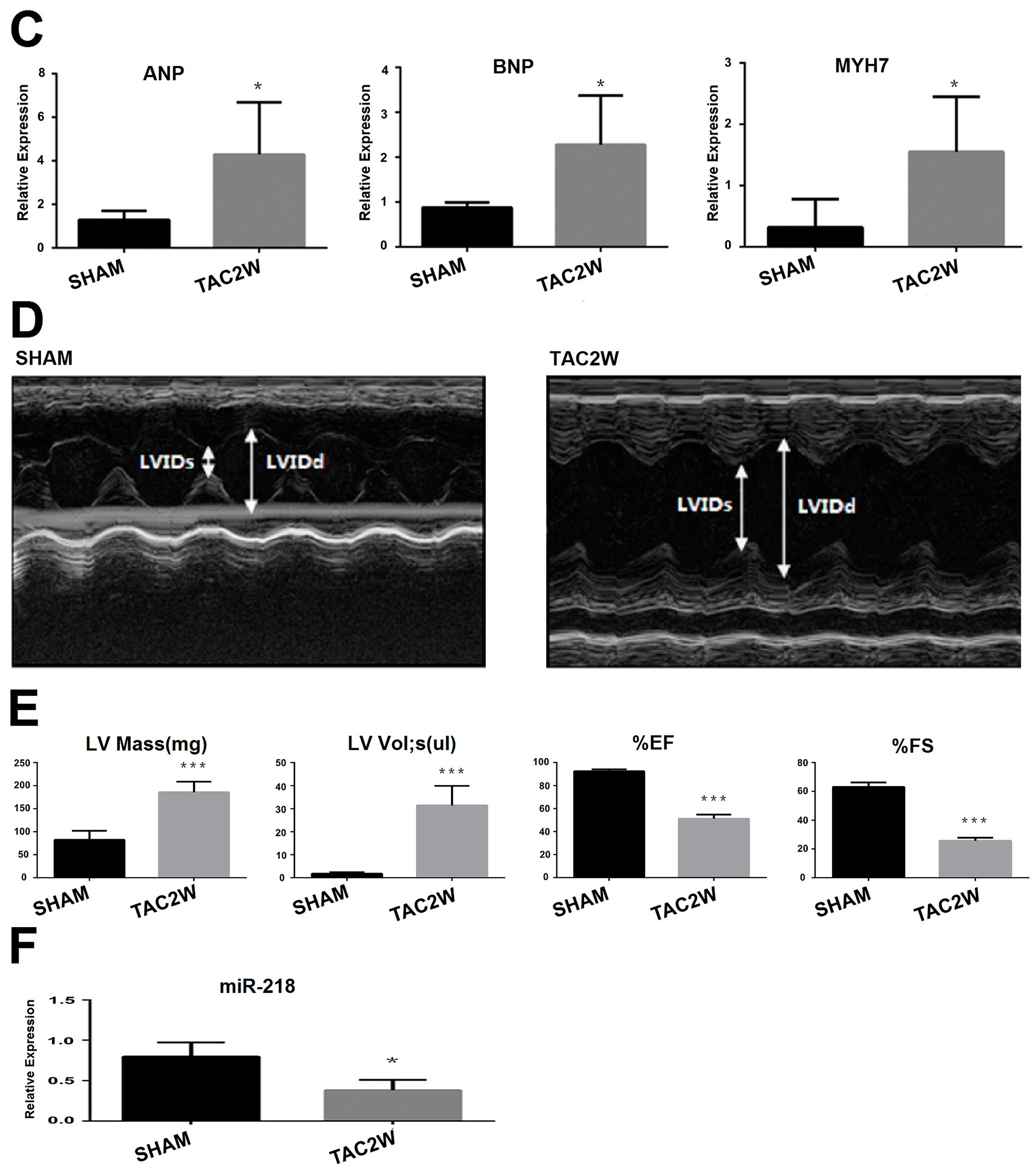 Ijms 17 00848 g002b 1024