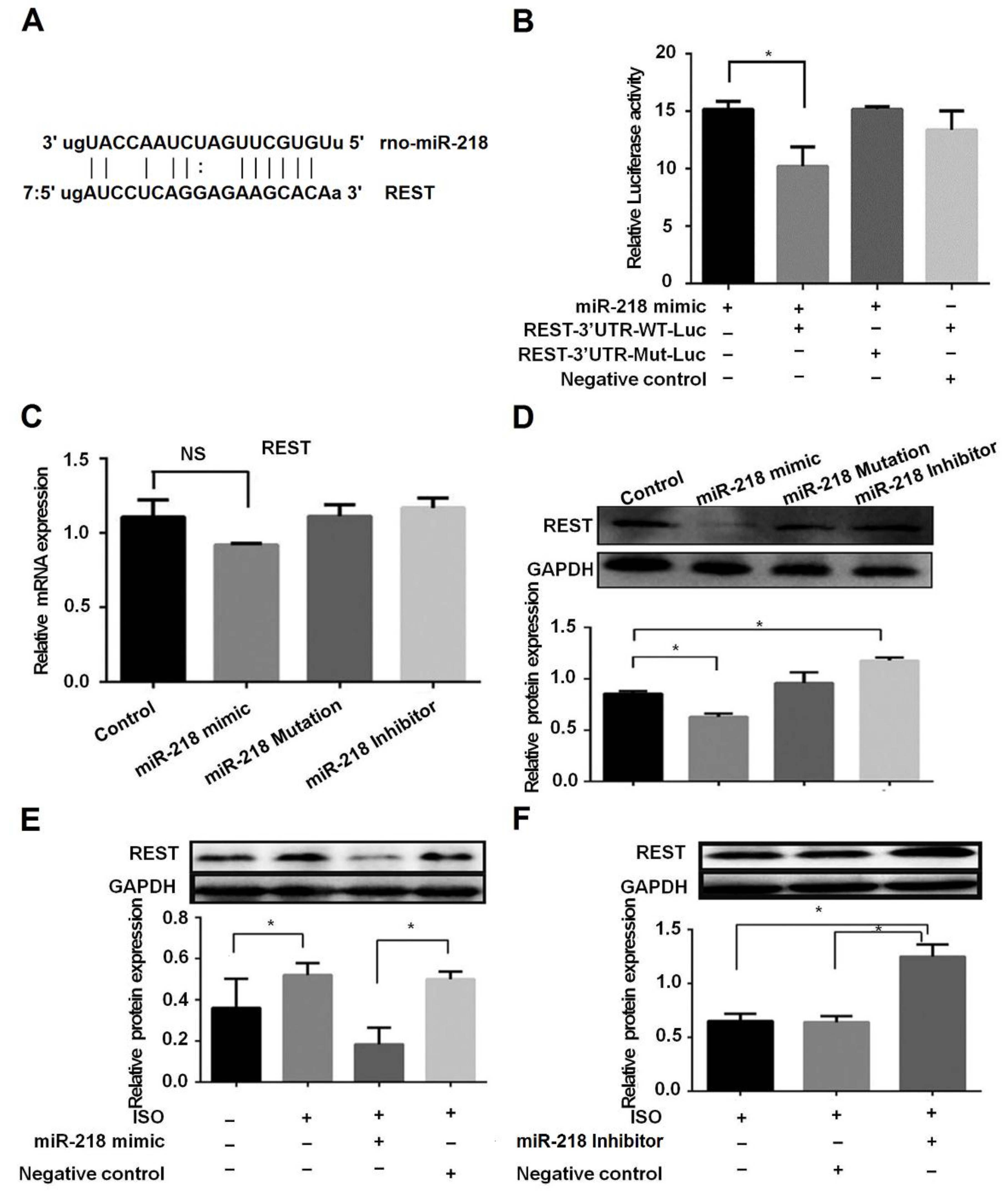 Ijms 17 00848 g003a 1024