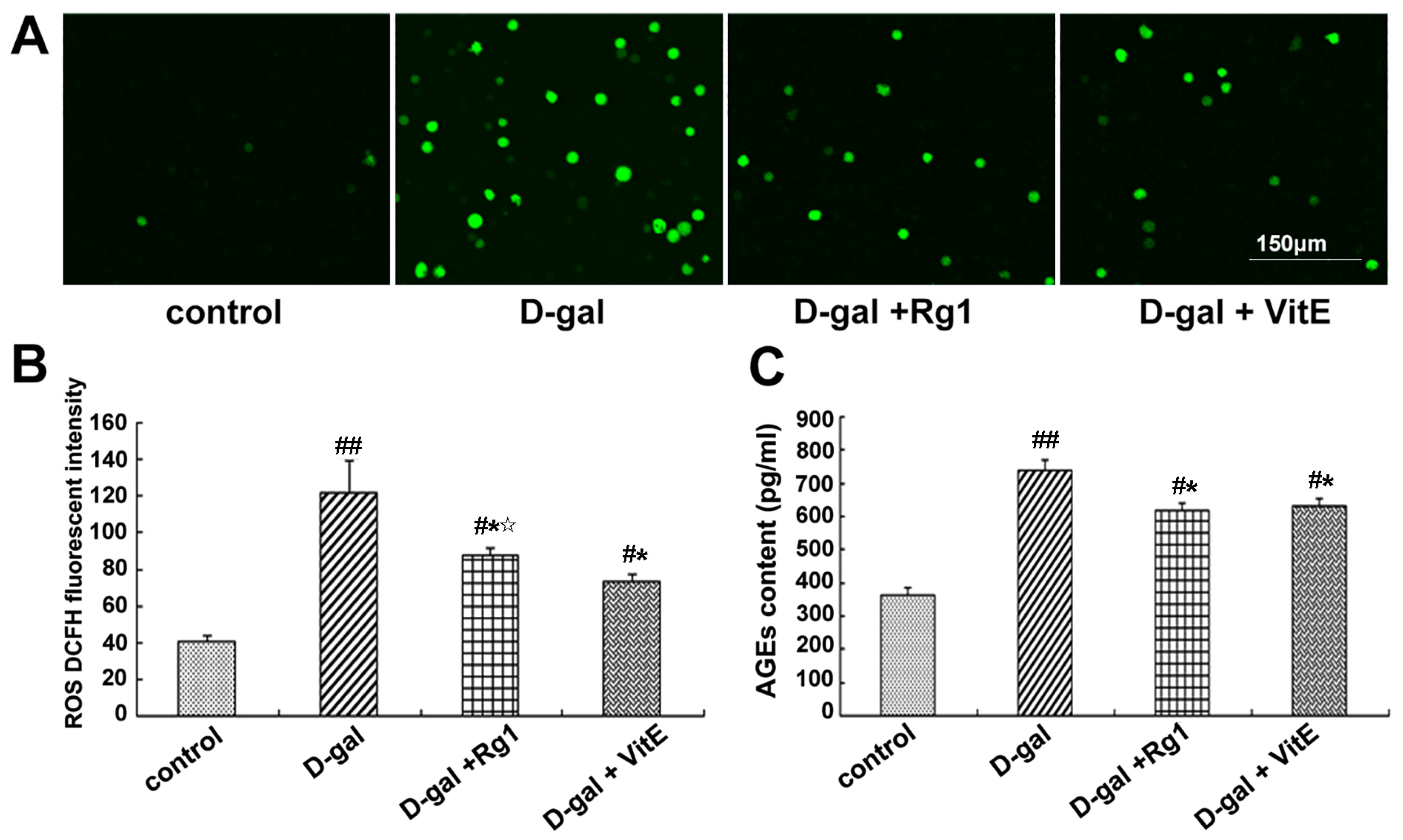 Ijms 17 00849 g002 1024