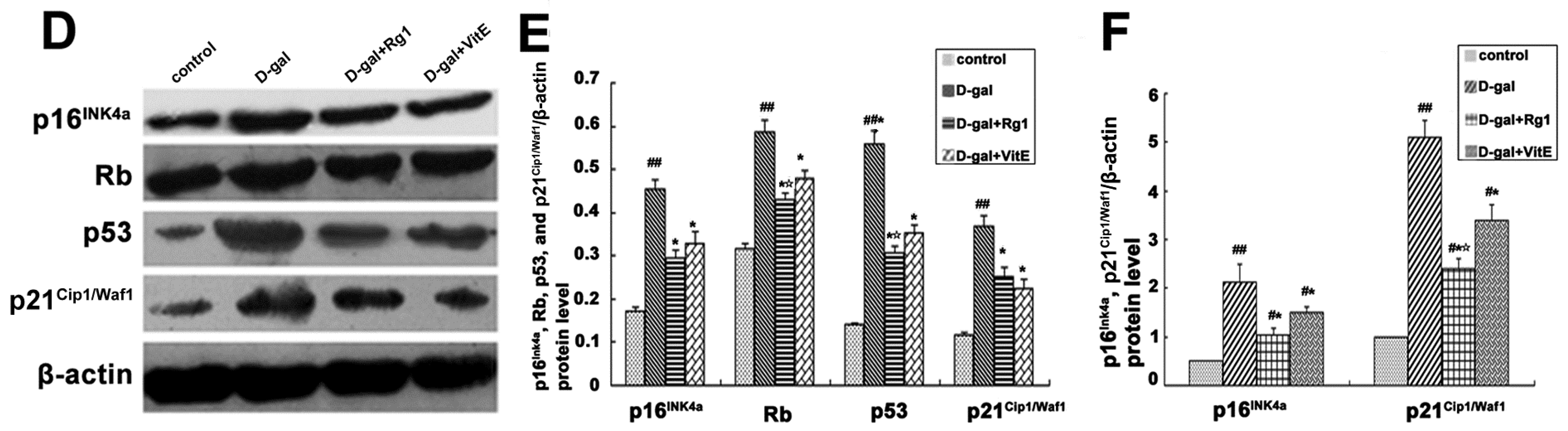 Ijms 17 00849 g006b 1024