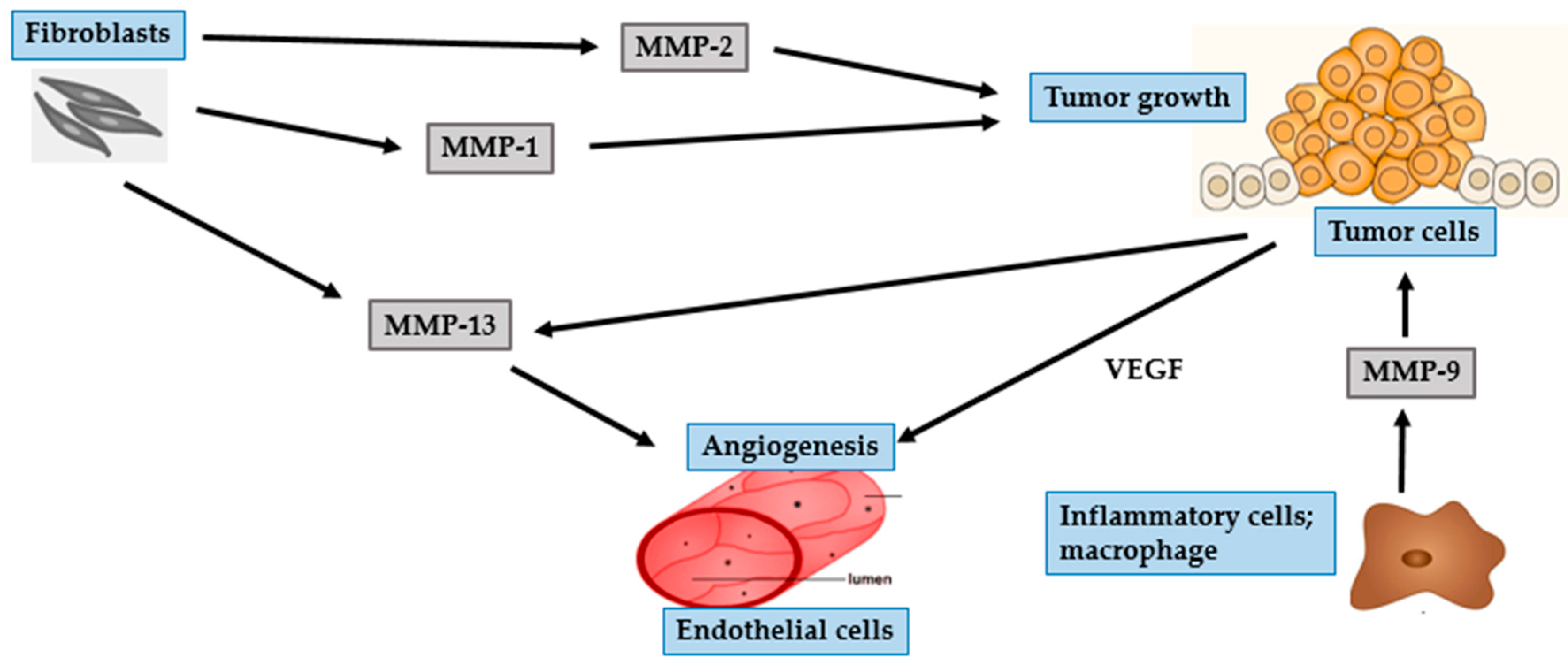 Ijms 17 00868 g002