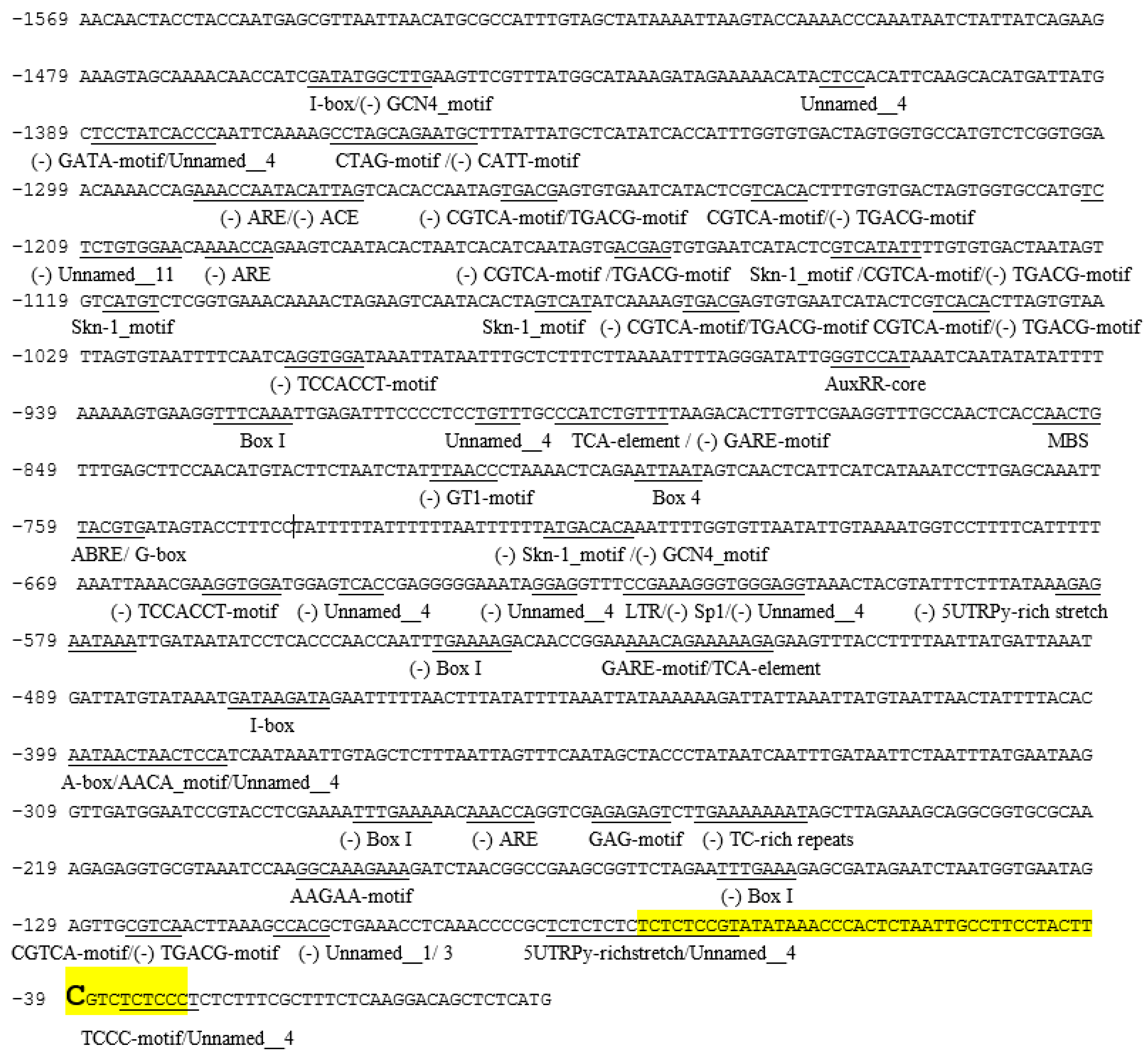 Ijms 17 00873 g004 1024