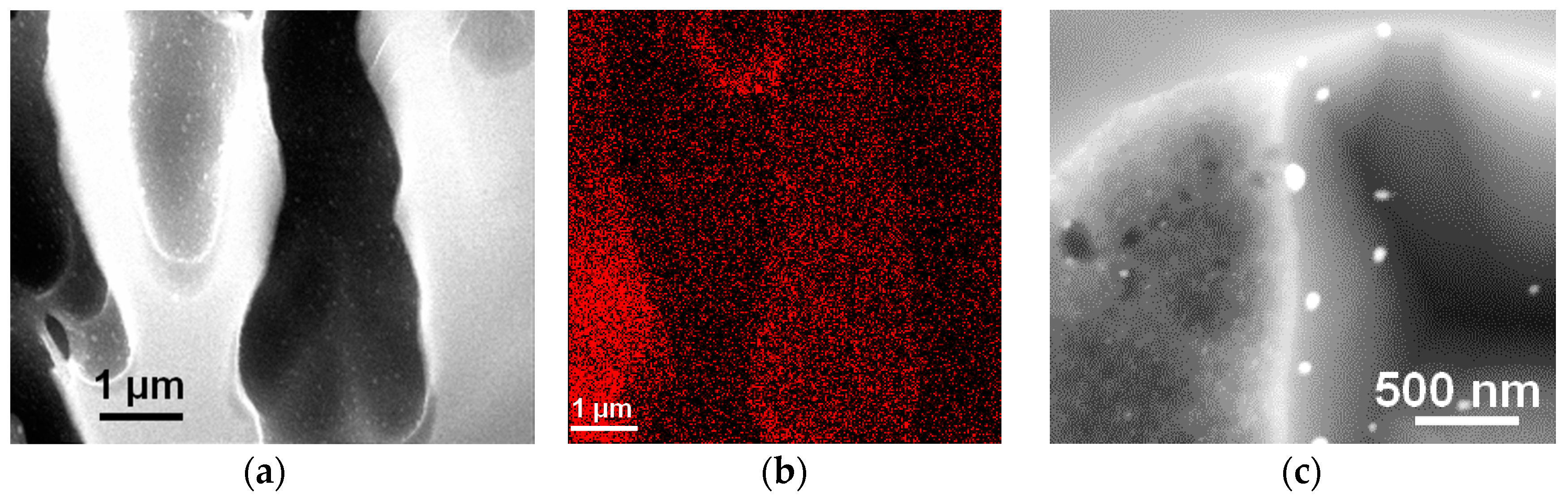Ijms 17 00876 g004