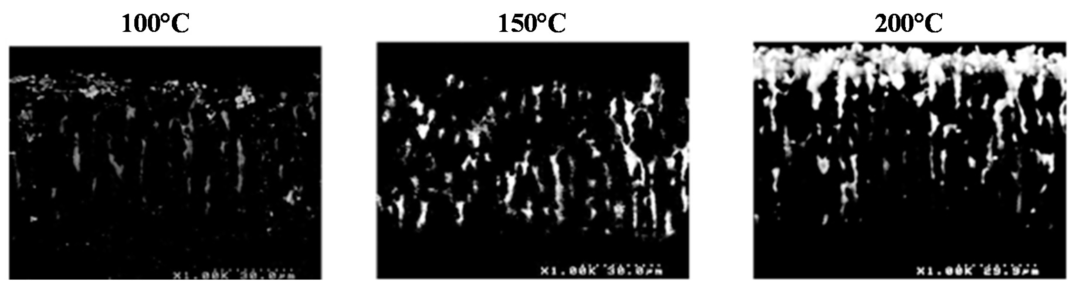 Ijms 17 00876 g005