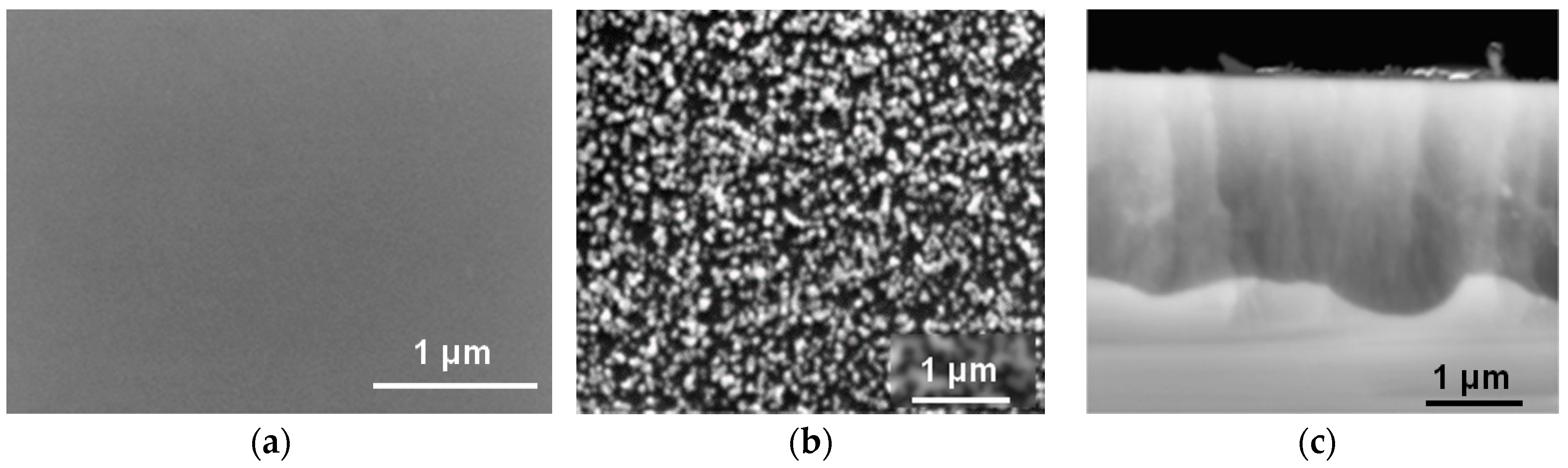 Ijms 17 00876 g007