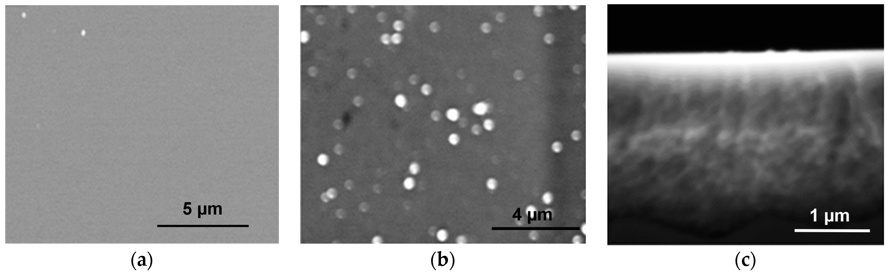 Ijms 17 00876 g008