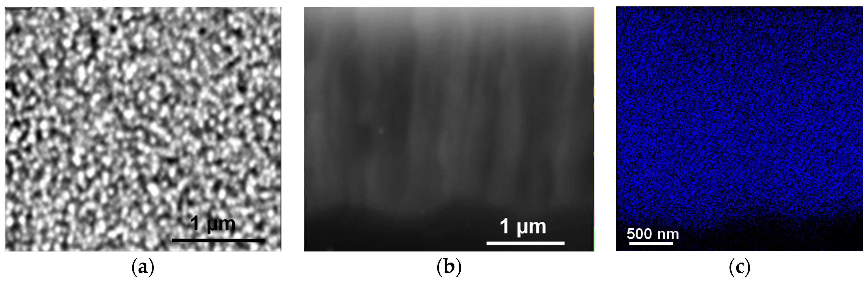 Ijms 17 00876 g009