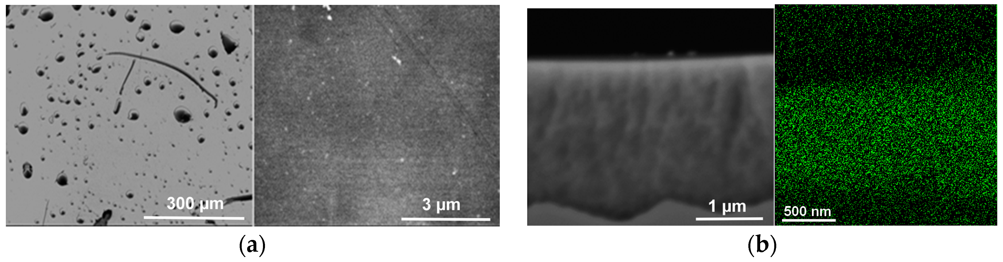 Ijms 17 00876 g010