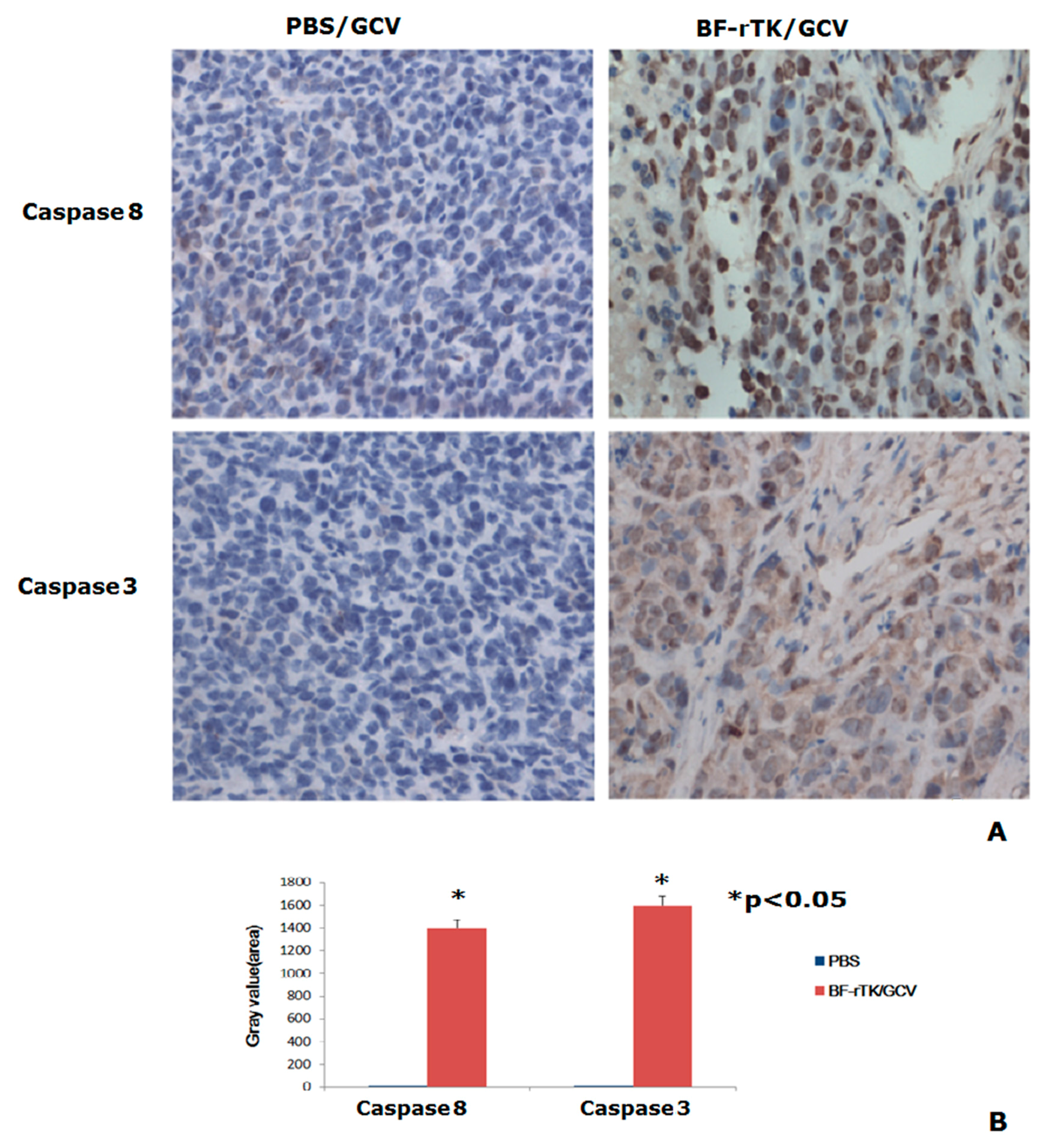 Ijms 17 00891 g007 1024