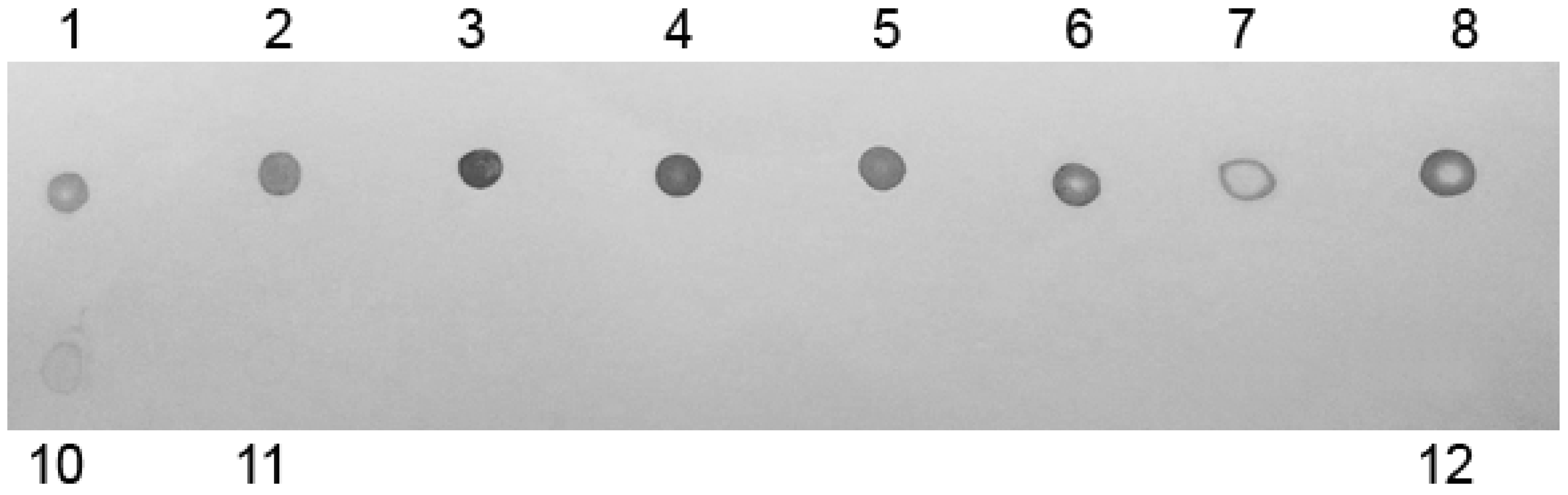 Ijms 17 00902 g004 1024