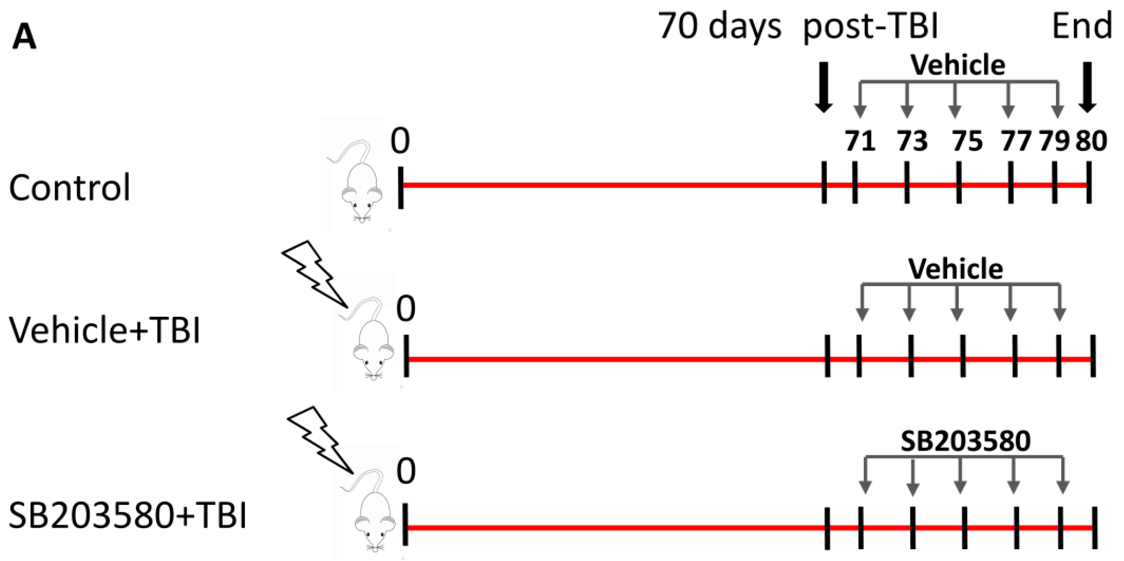 Ijms 17 00905 g001a 1024