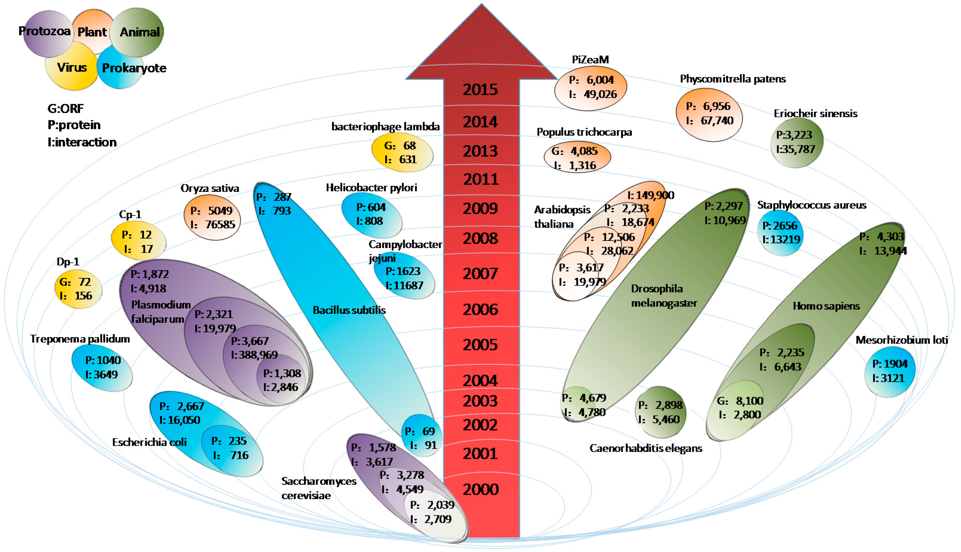 Properties of PPINs: scale-free networks  Network analysis of protein  interaction data