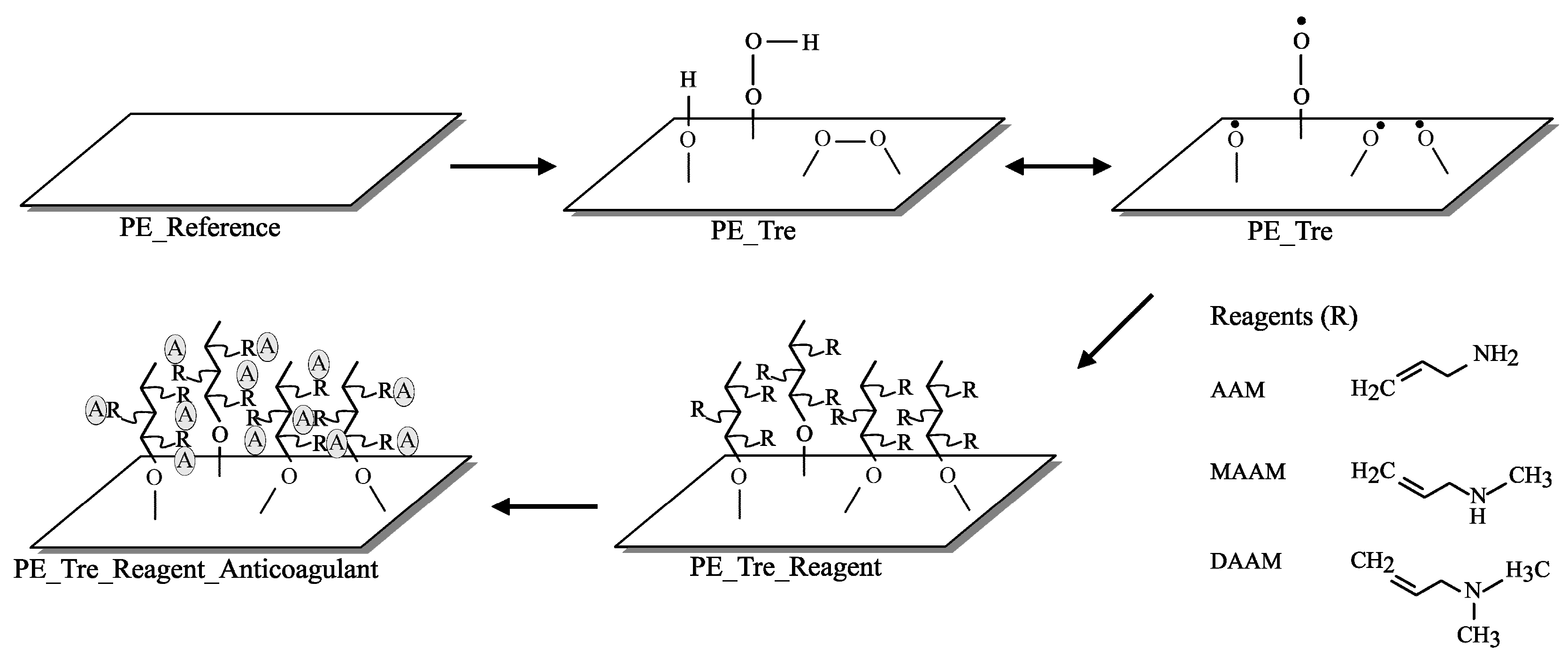 Ijms 17 00908 g005 1024