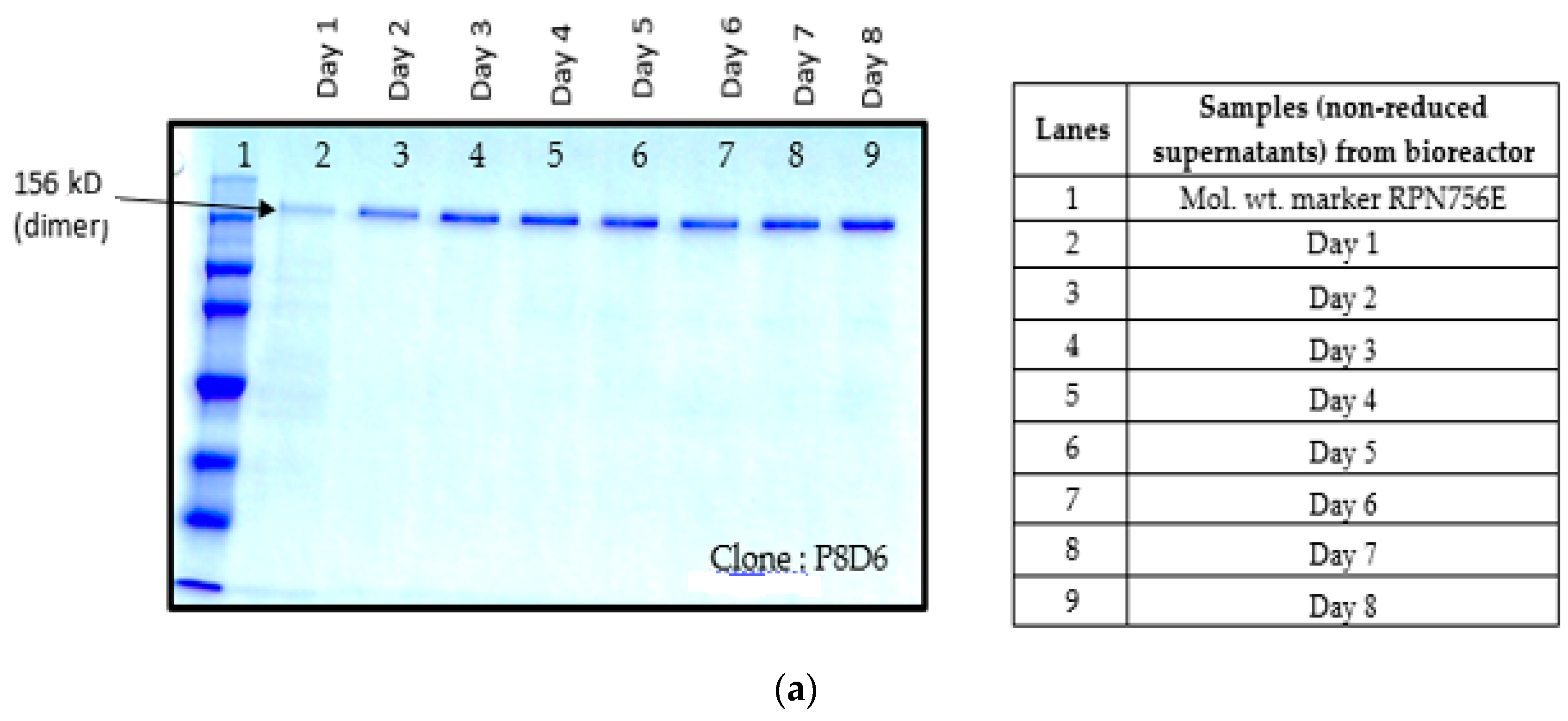 Ijms 17 00913 g004a 1024