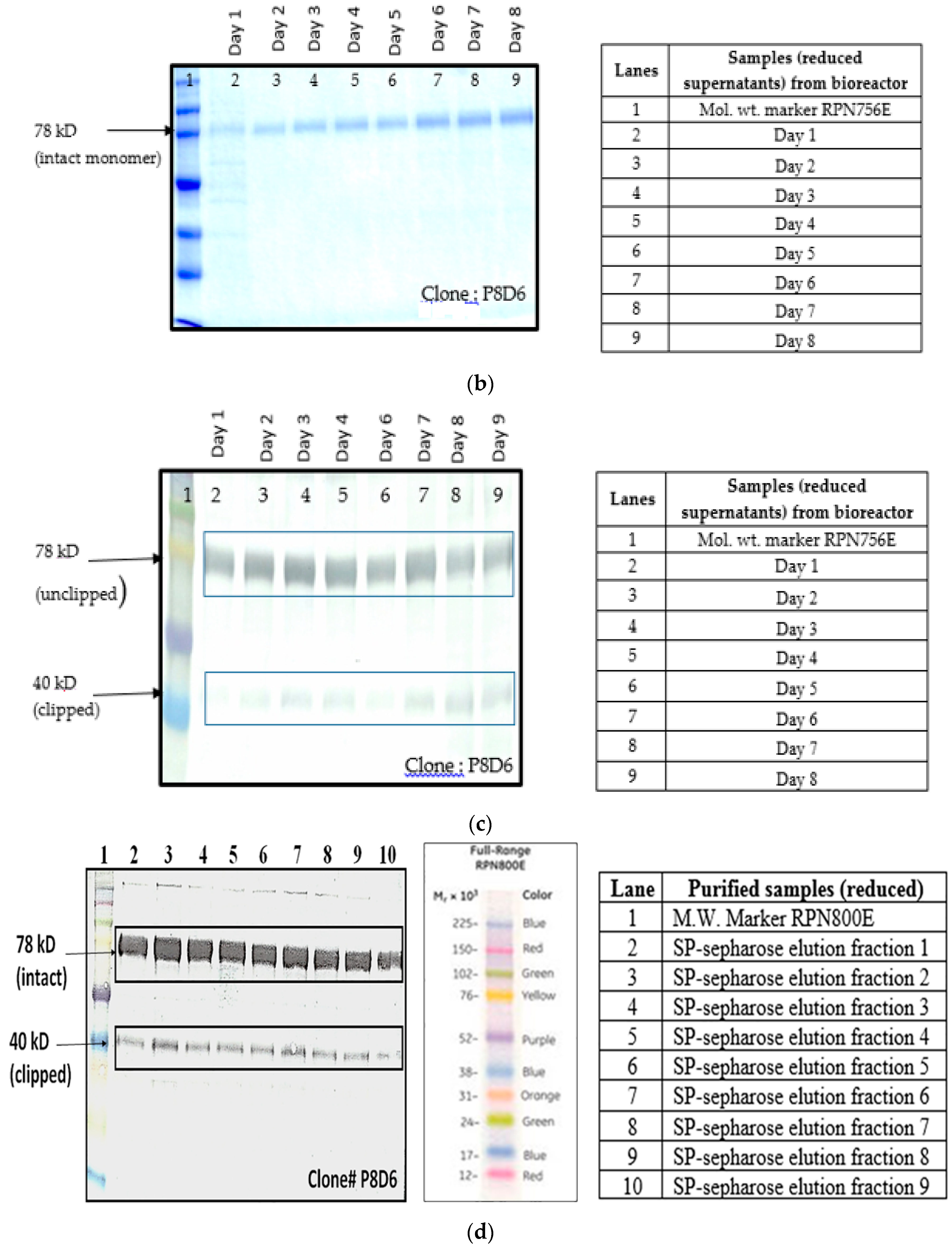 Ijms 17 00913 g004b 1024