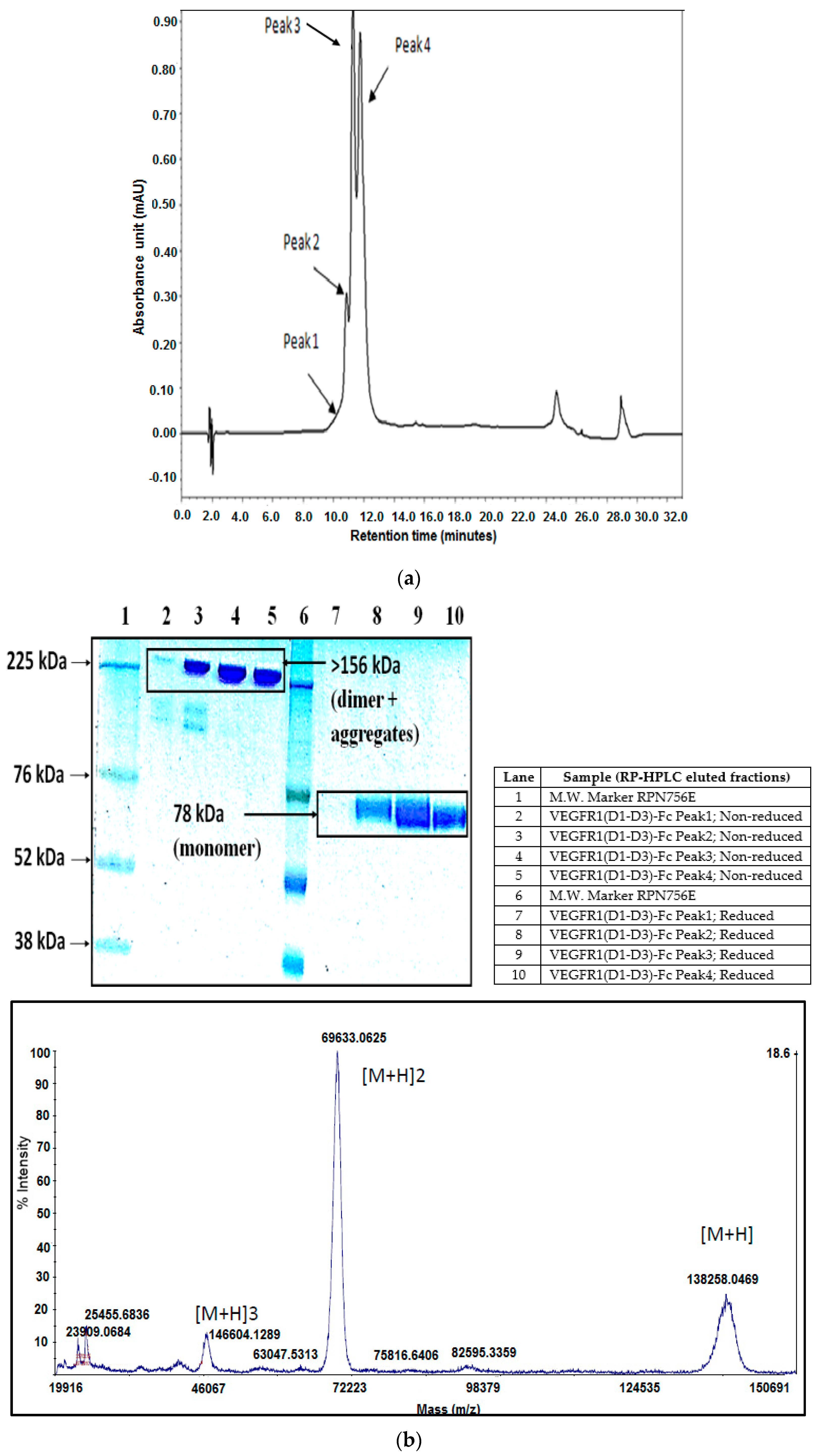 Ijms 17 00913 g005a 1024