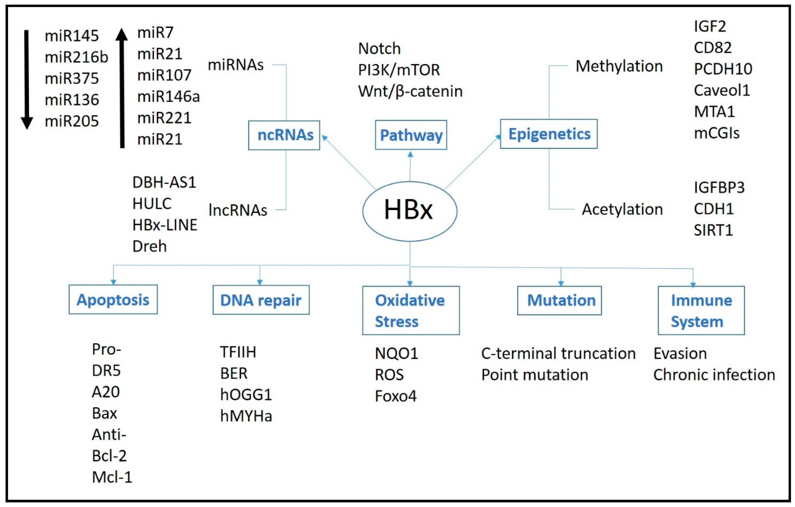Ijms 17 00940 g002 1024