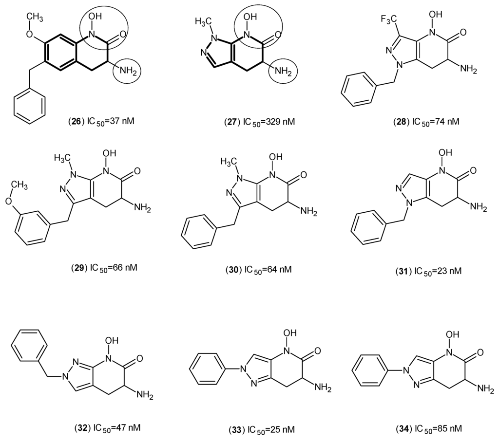 Ijms Free Full Text Kynurenine Aminotransferase Isozyme Inhibitors A Review Html