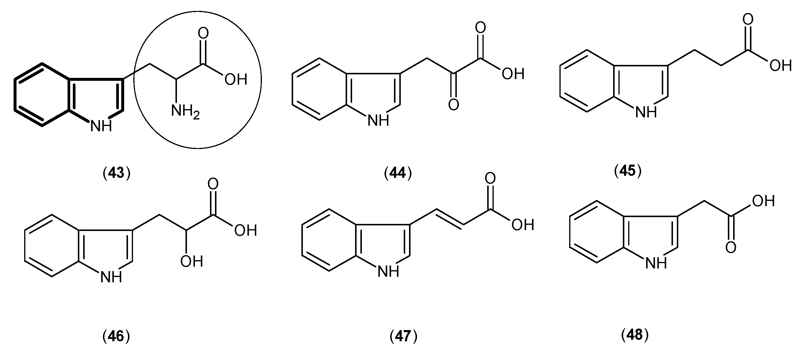 Ijms 17 00946 g009 1024